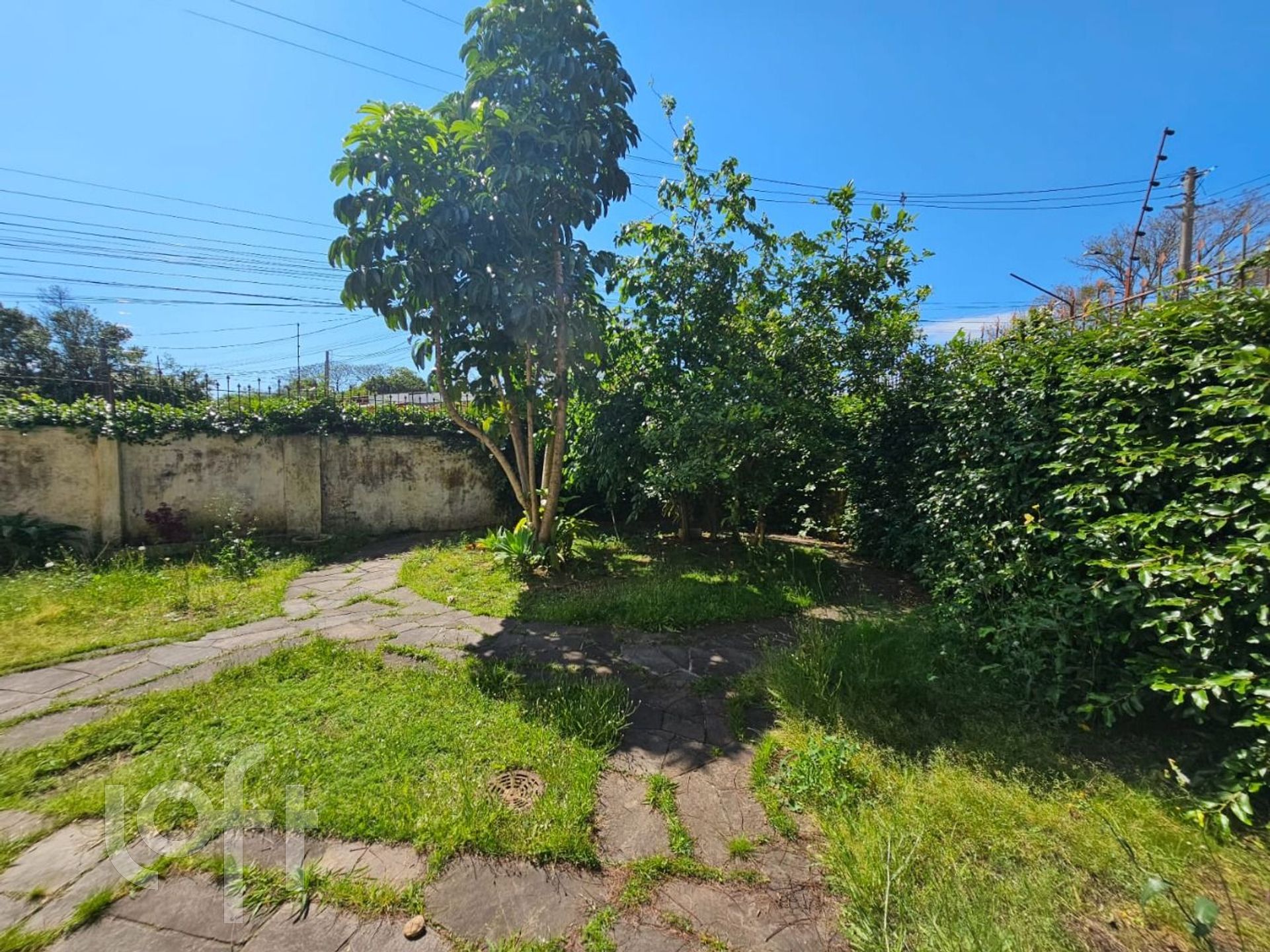 Imagem da propriedade 32