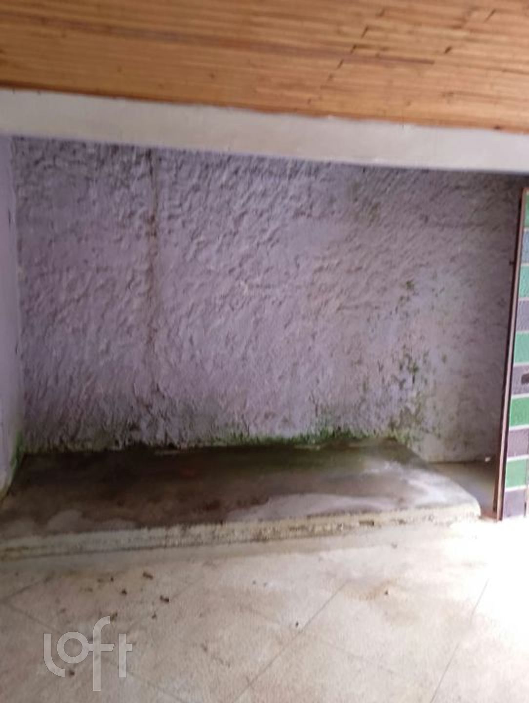 Imagem da propriedade 4