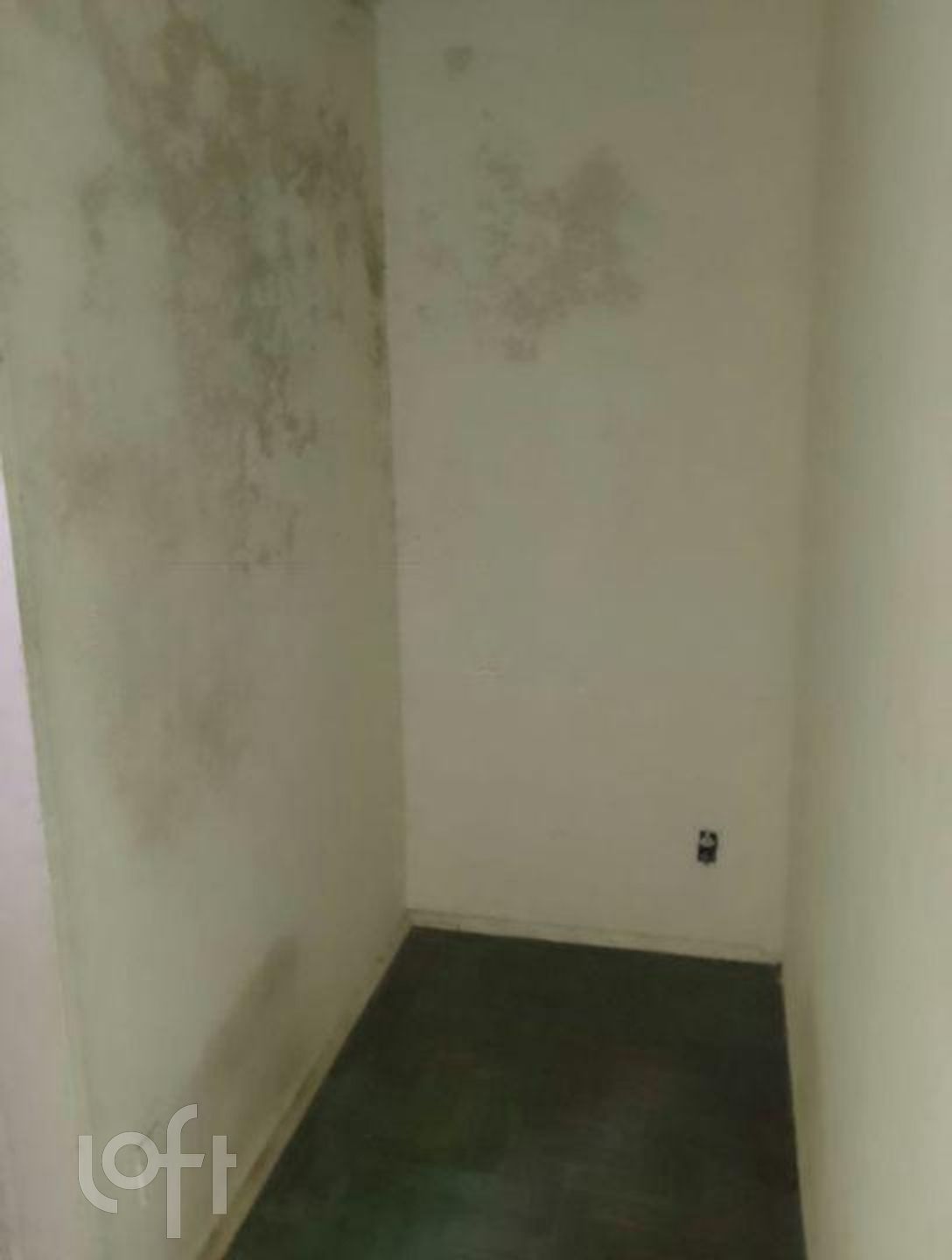 Imagem da propriedade 3