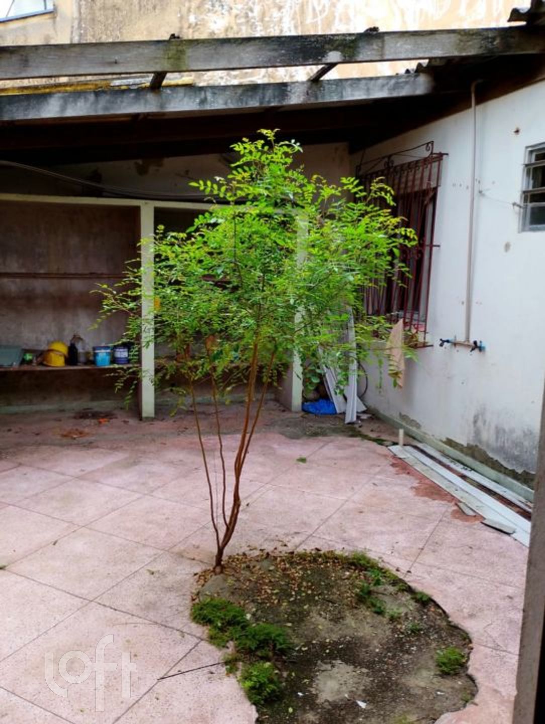 Imagem da propriedade 12