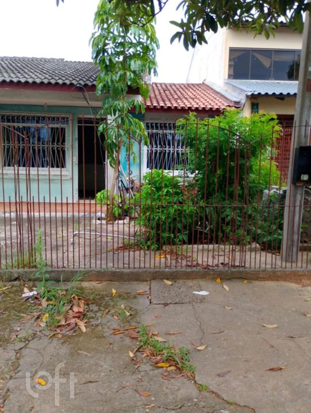 Imagem da propriedade 13