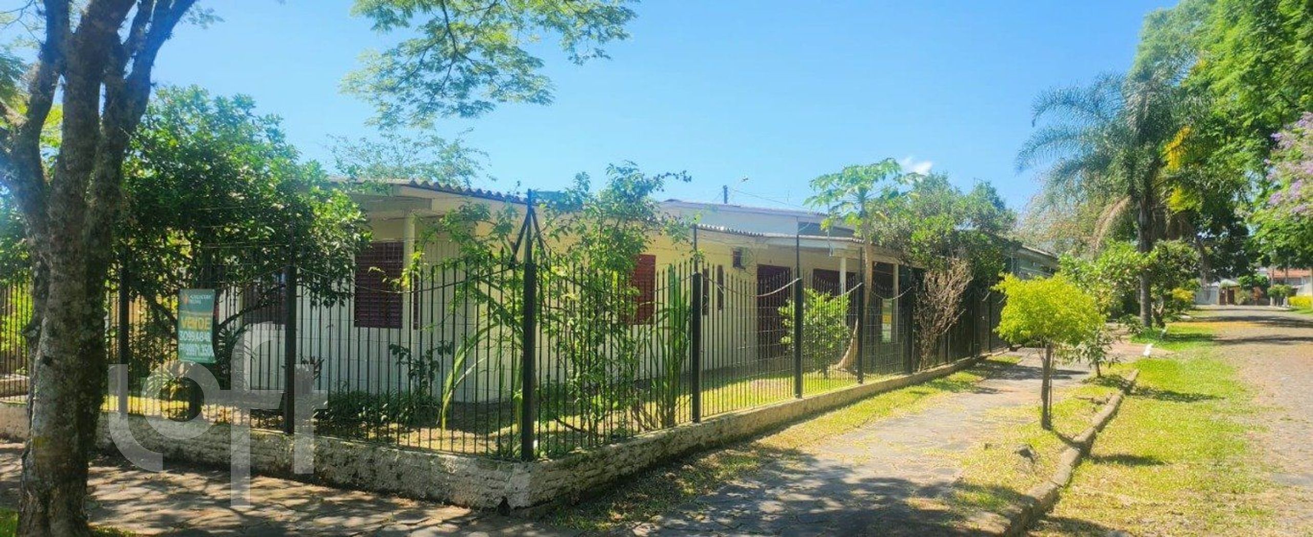 Imagem da propriedade 3