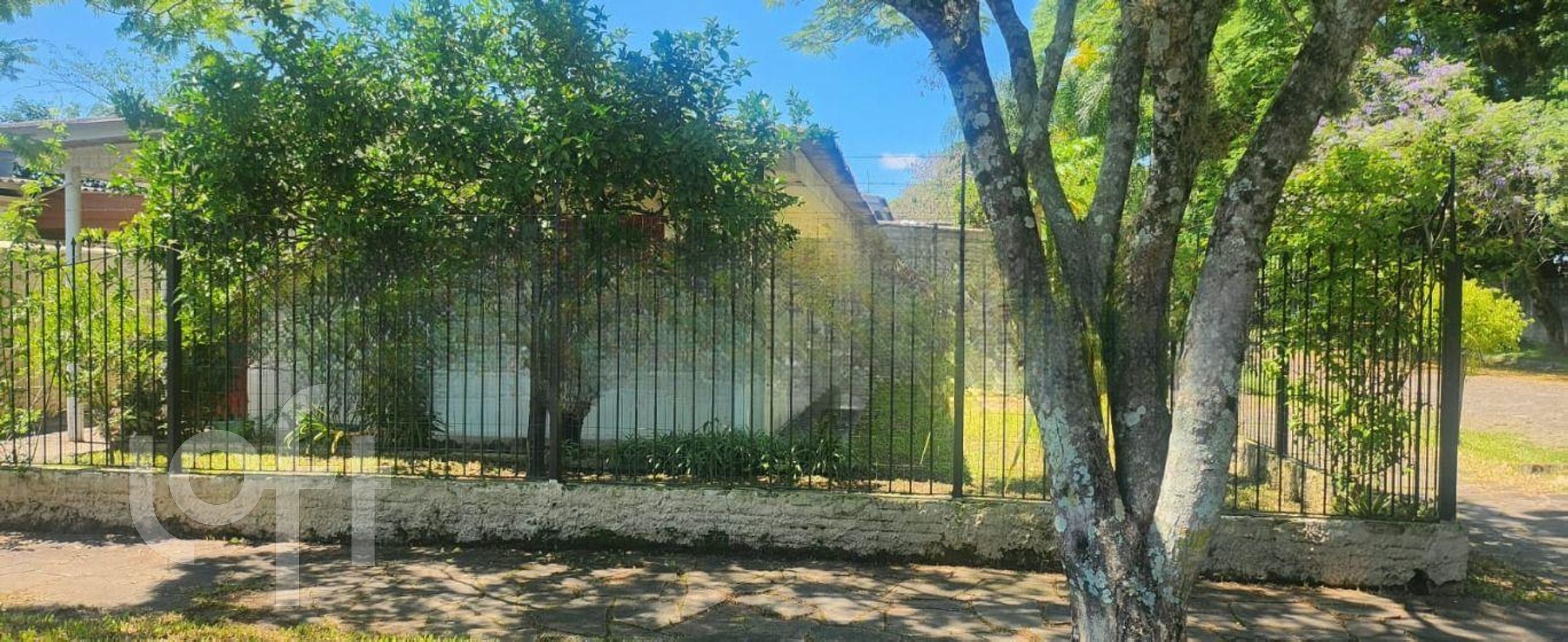 Imagem da propriedade 4