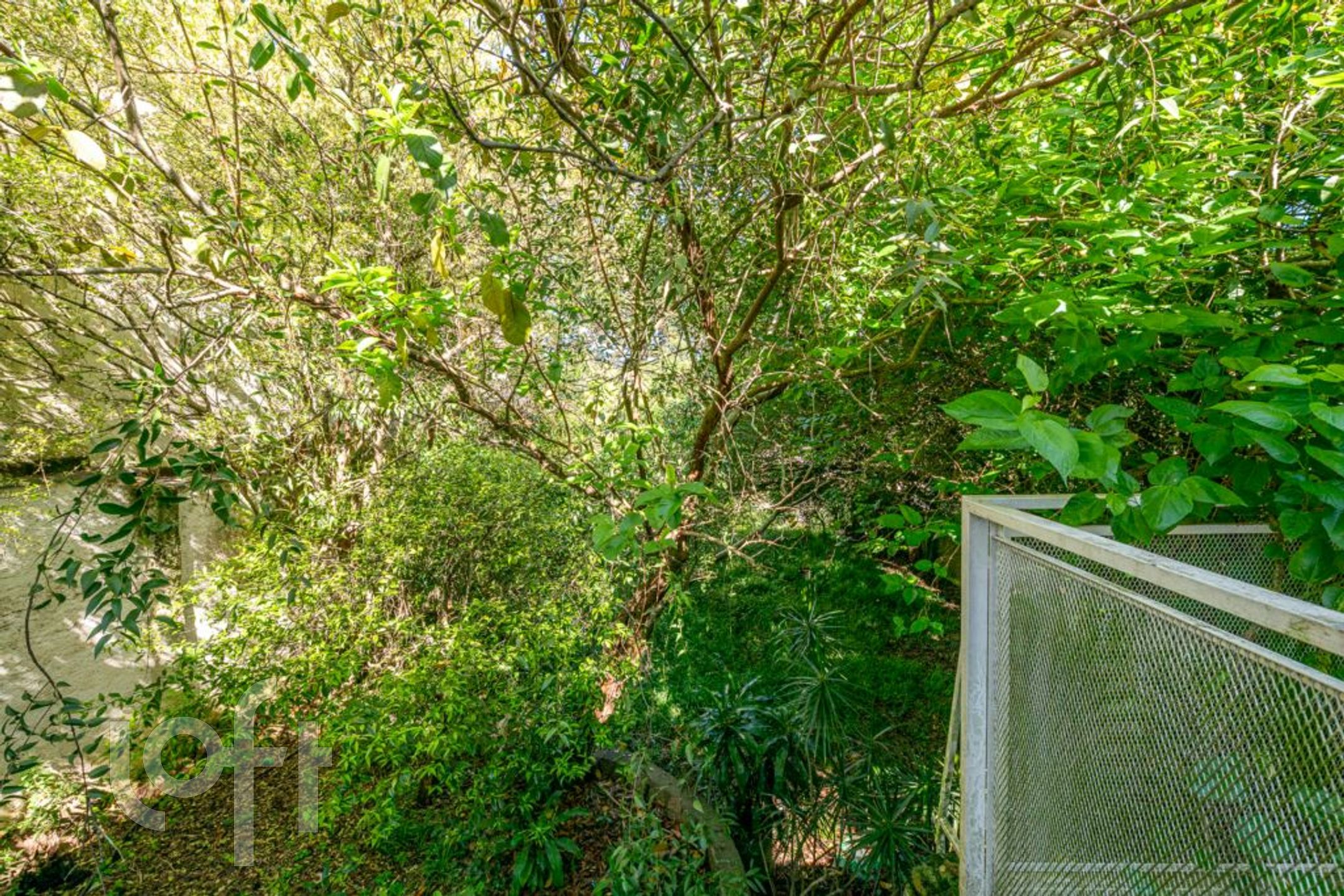 Imagem da propriedade 34