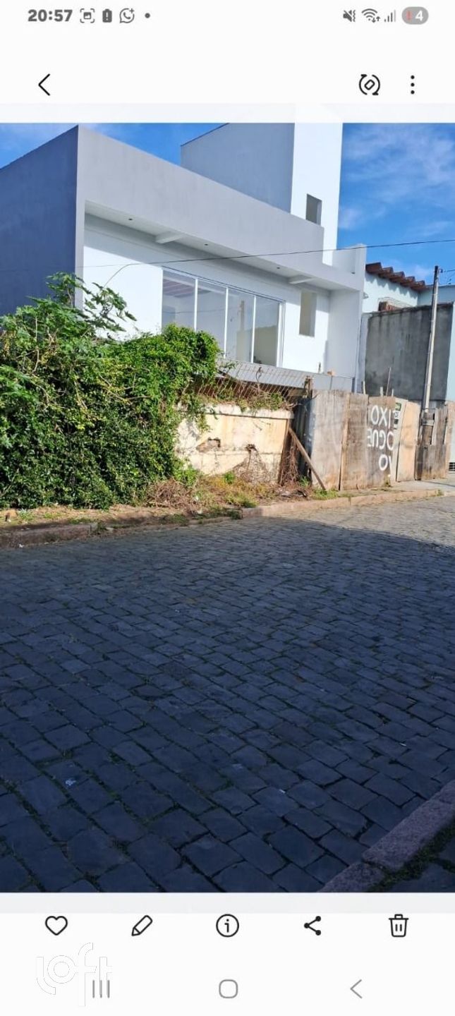 Imagem da propriedade 19