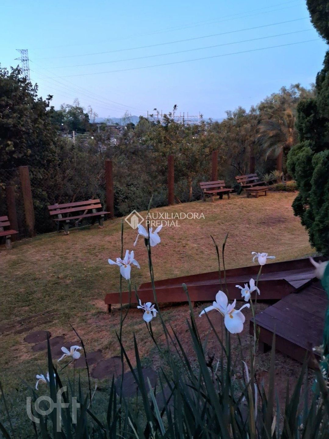 Imagem da propriedade 21