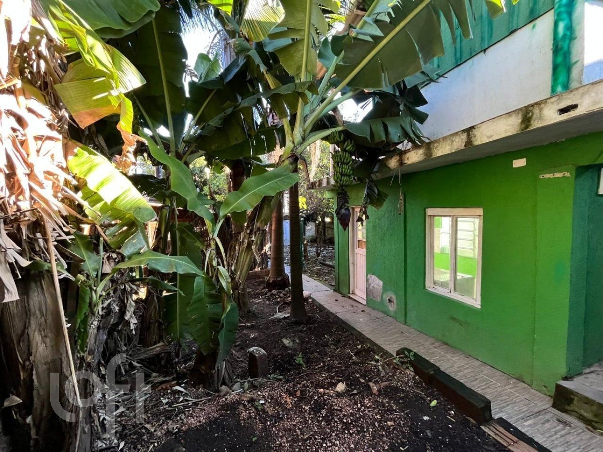 Imagem da propriedade 2