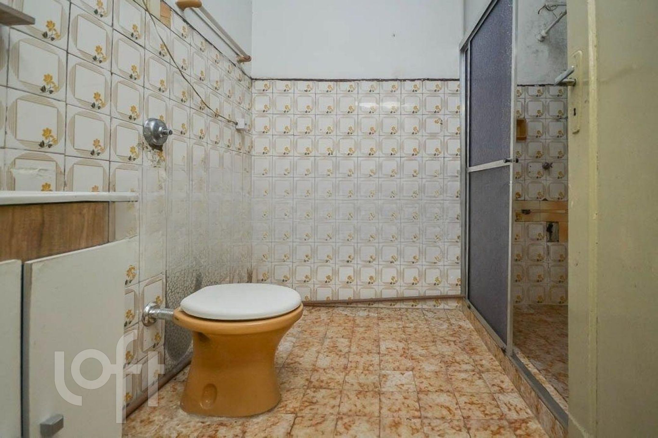 Imagem da propriedade 8