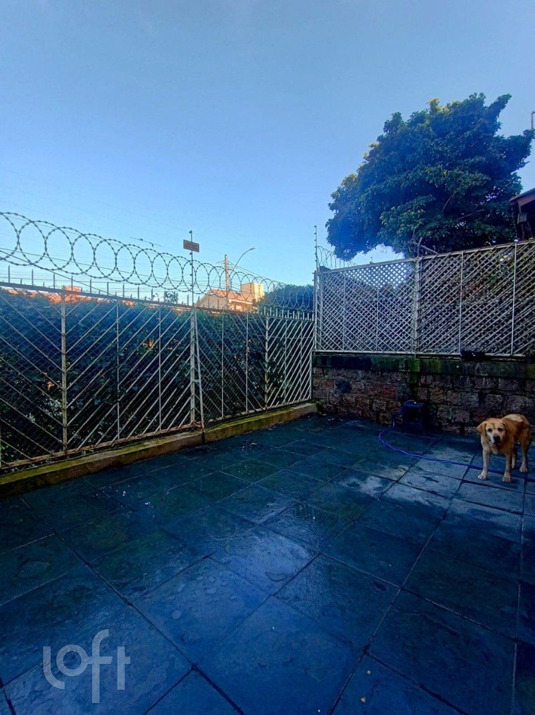 Imagem da propriedade 31