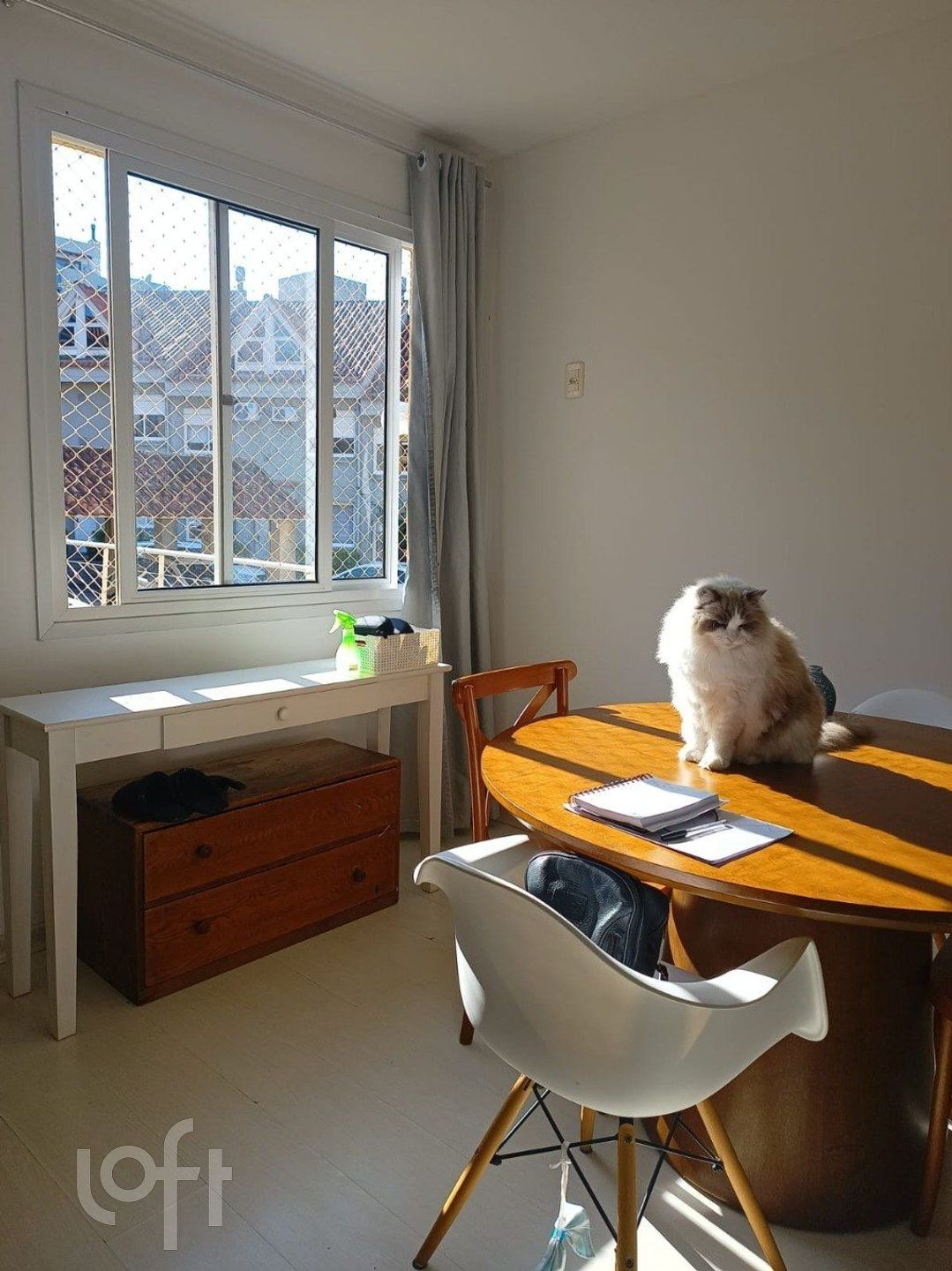 Imagem da propriedade 6