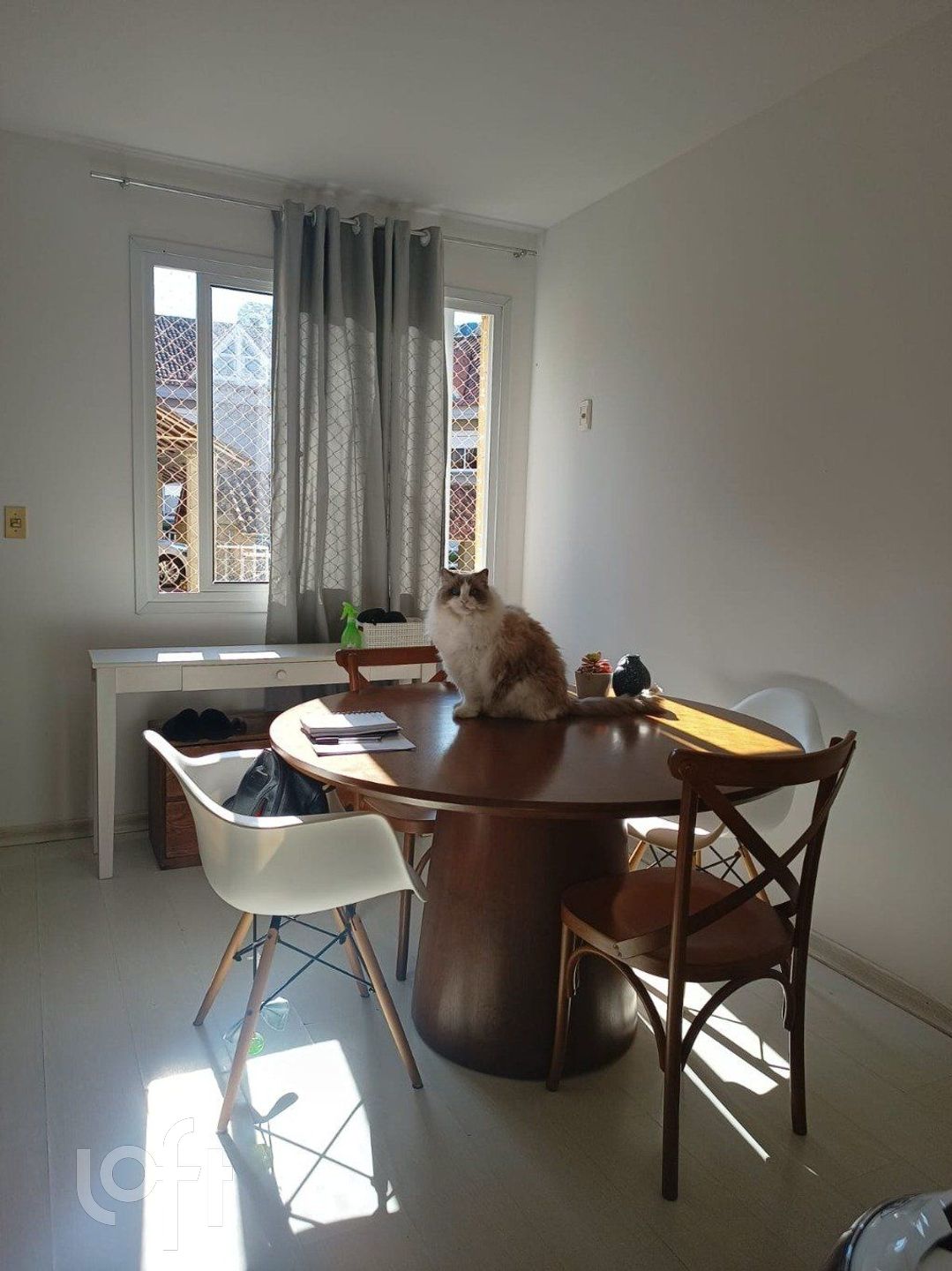 Imagem da propriedade 7