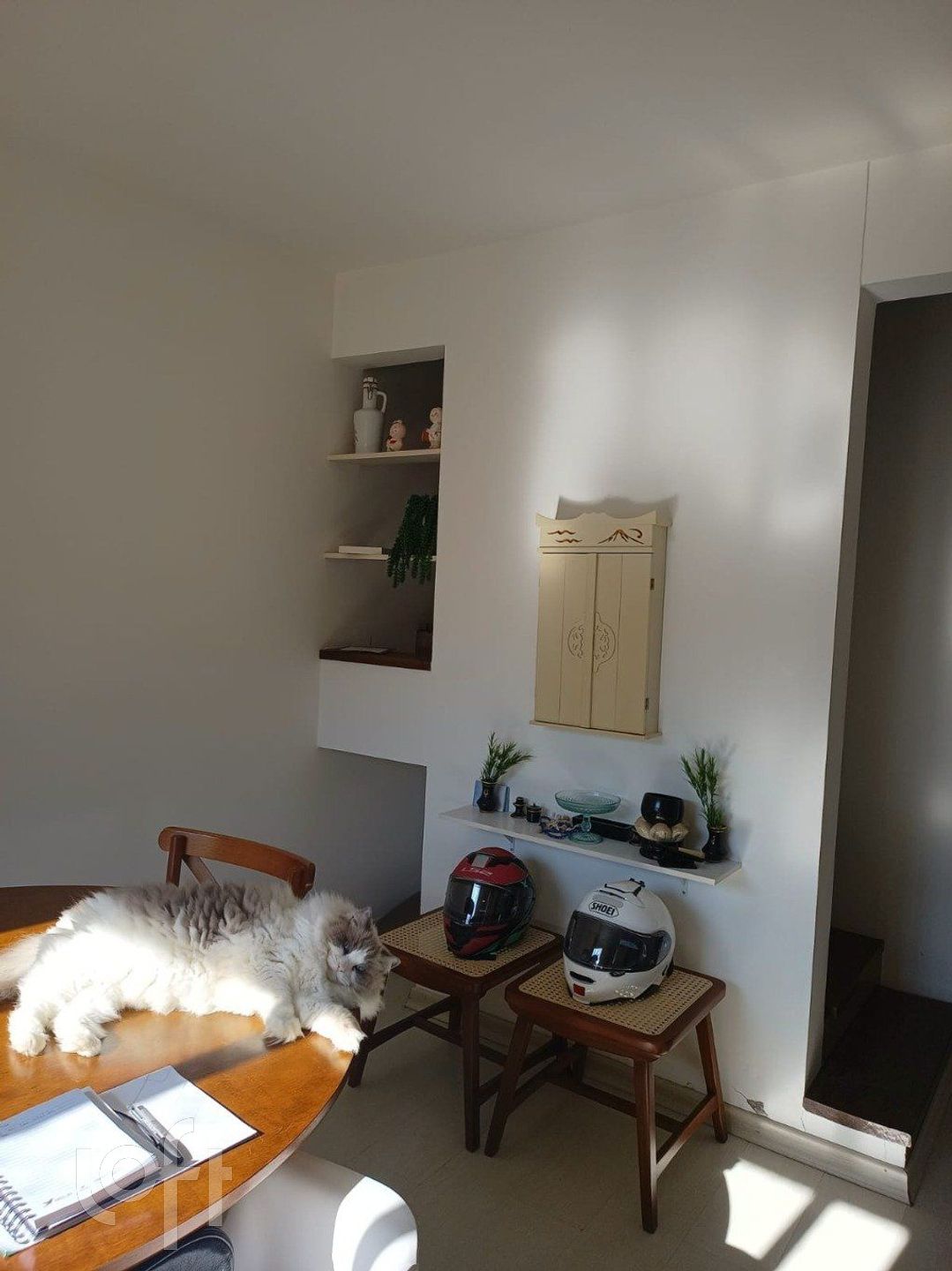 Imagem da propriedade 8