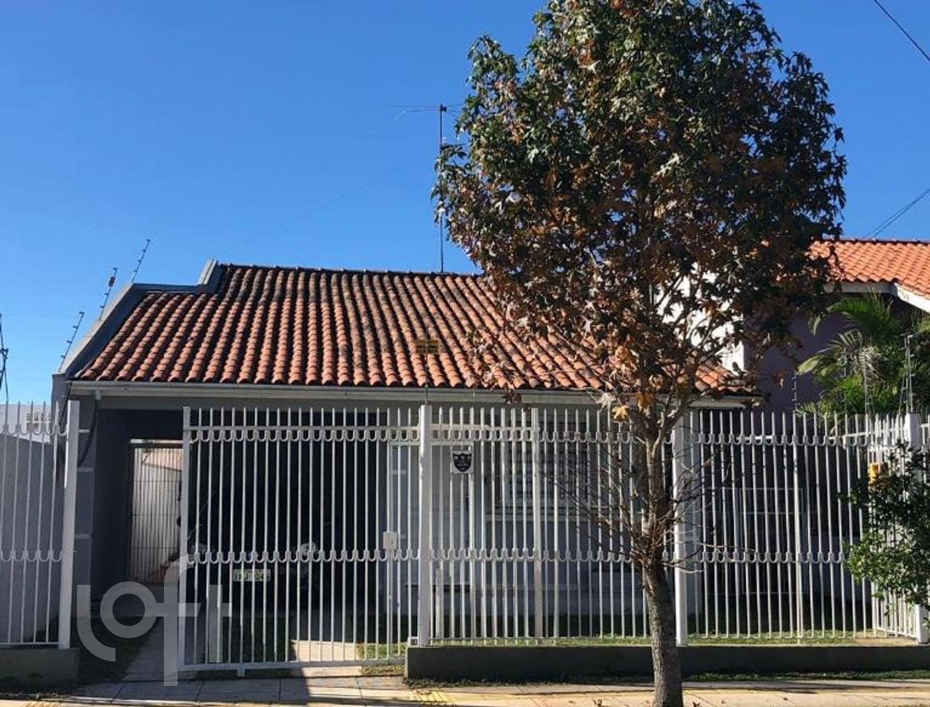 Imagem da propriedade 6