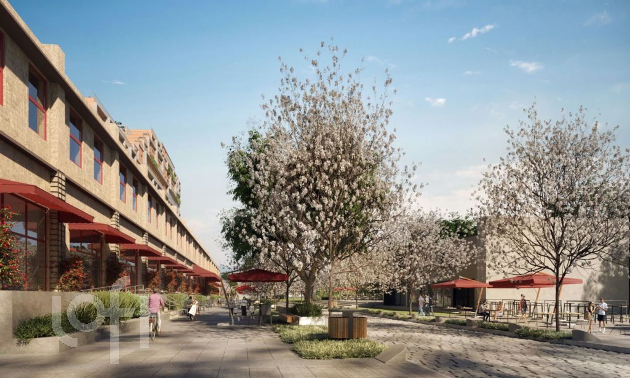 Imagem da propriedade 13