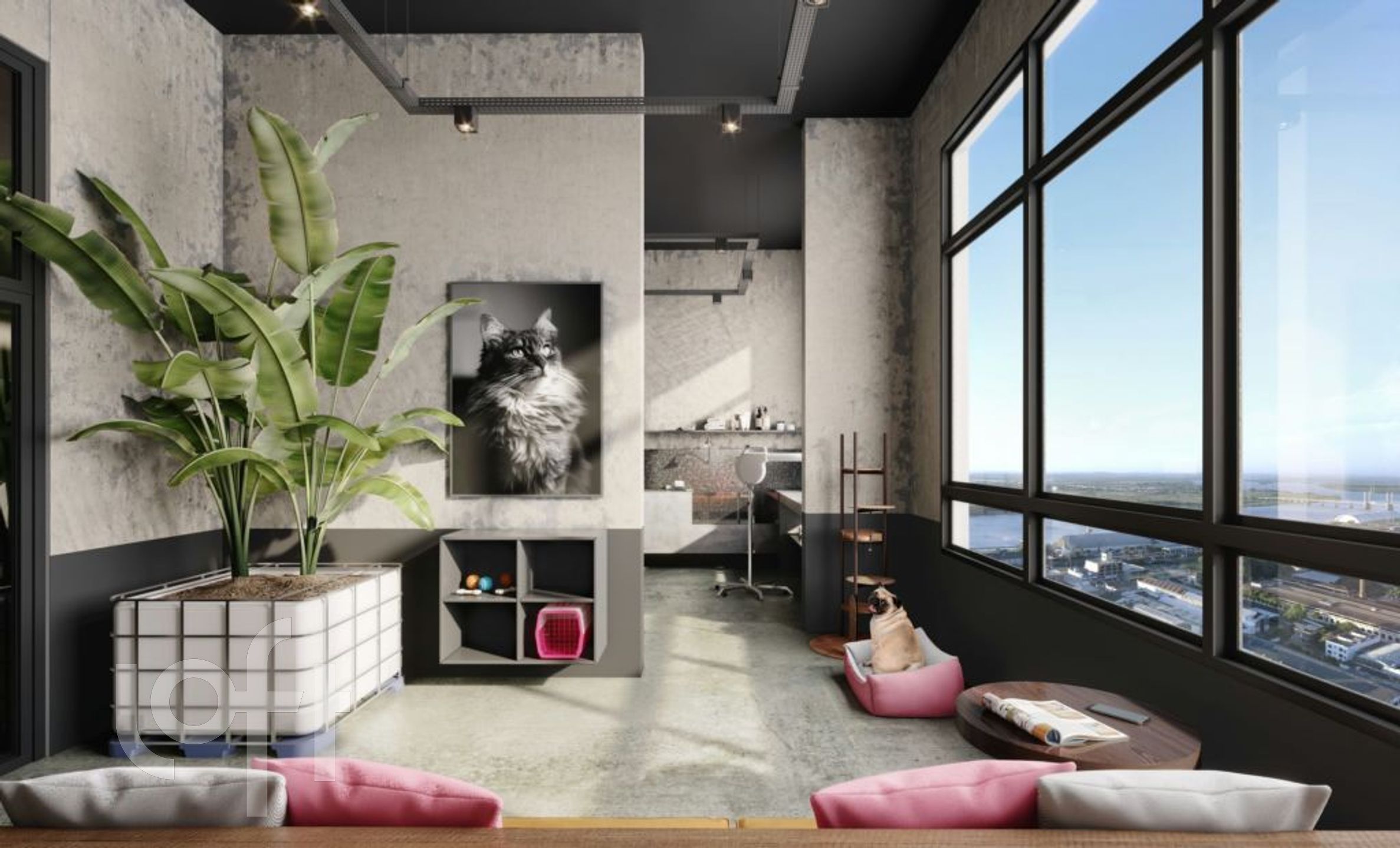 Imagem da propriedade 21