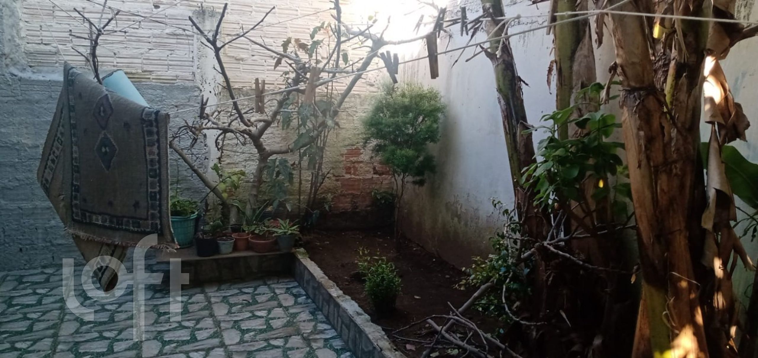 Imagem da propriedade 5