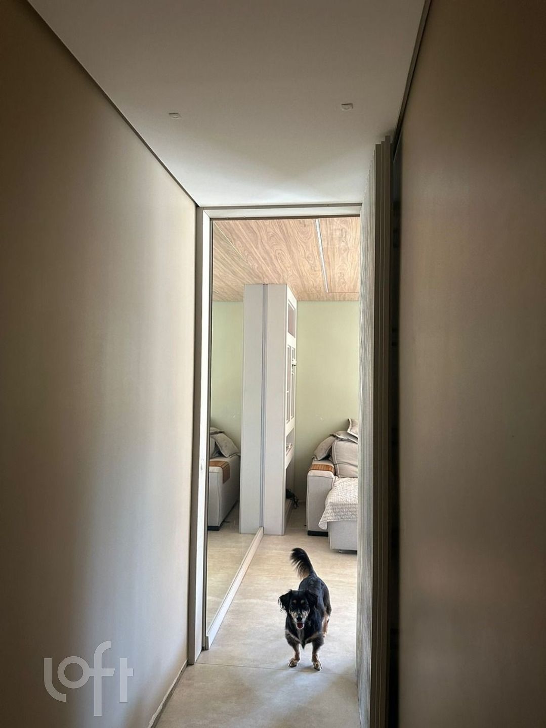 Imagem da propriedade 14