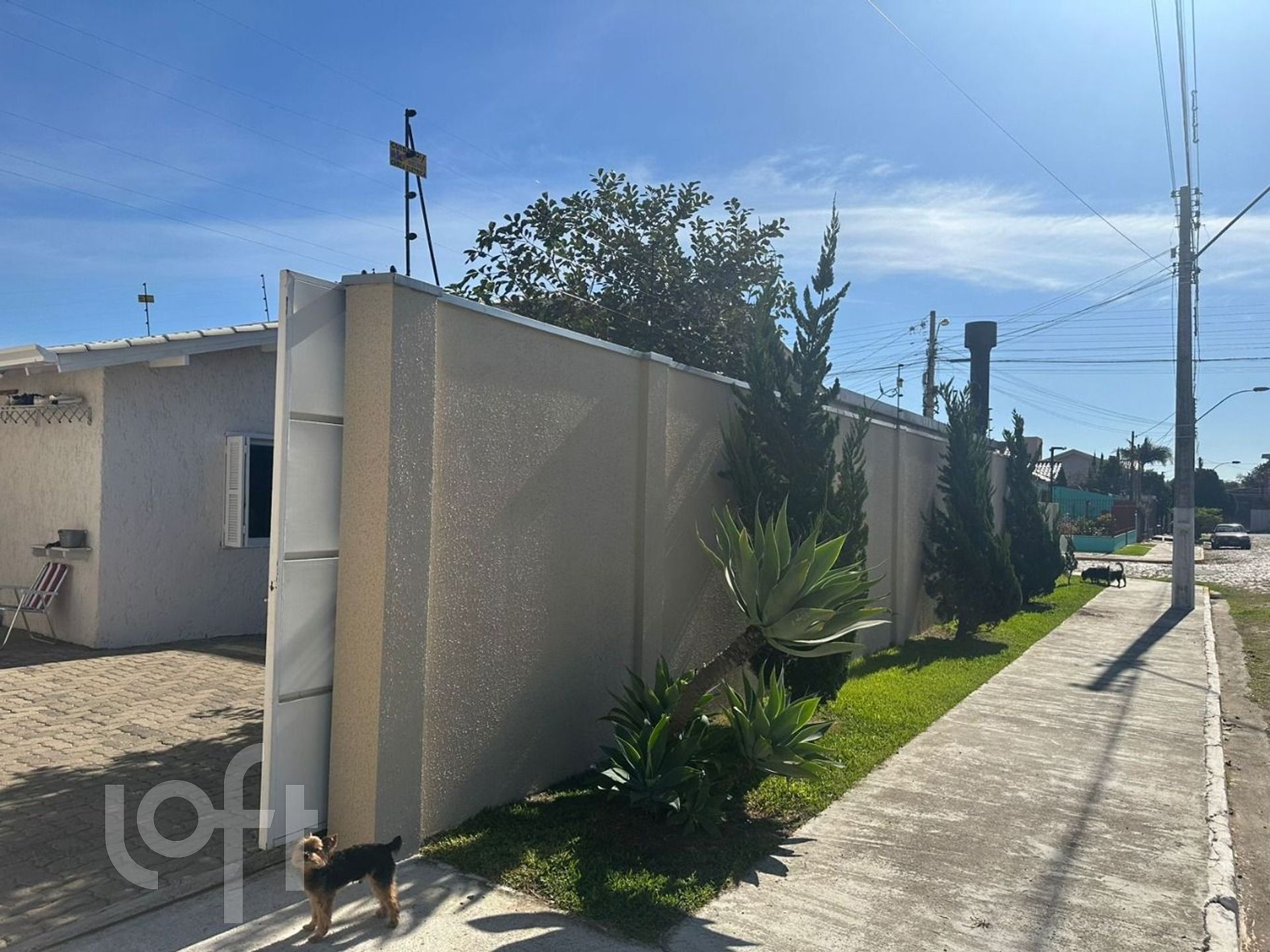 Imagem da propriedade 3