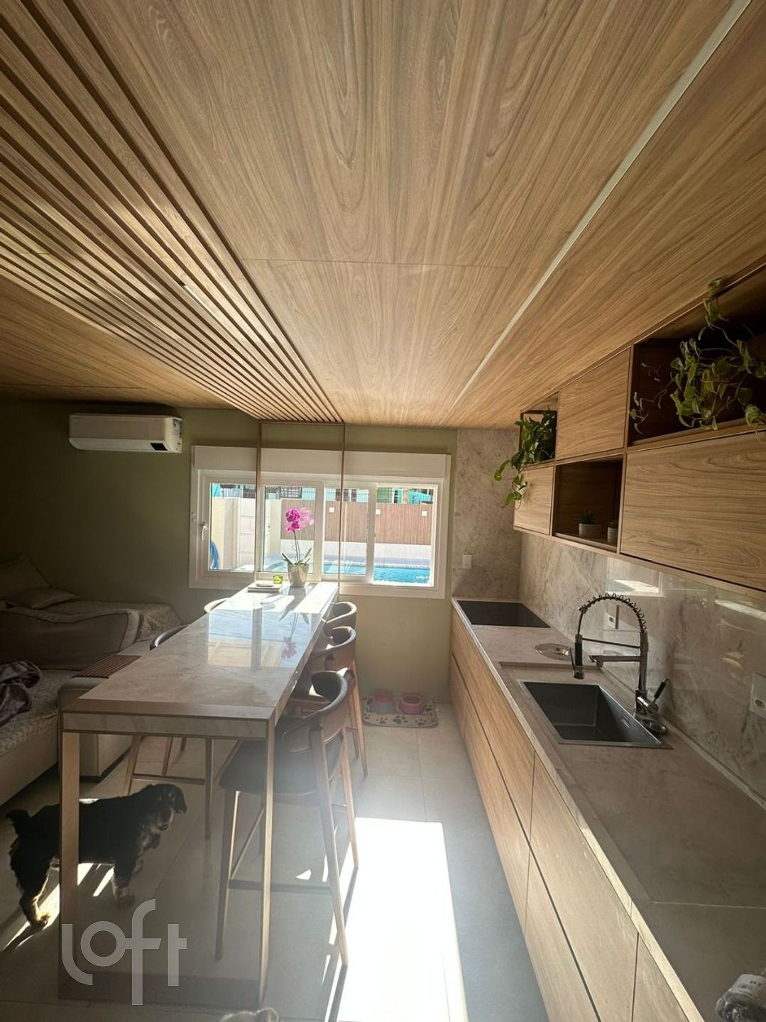 Imagem da propriedade 12