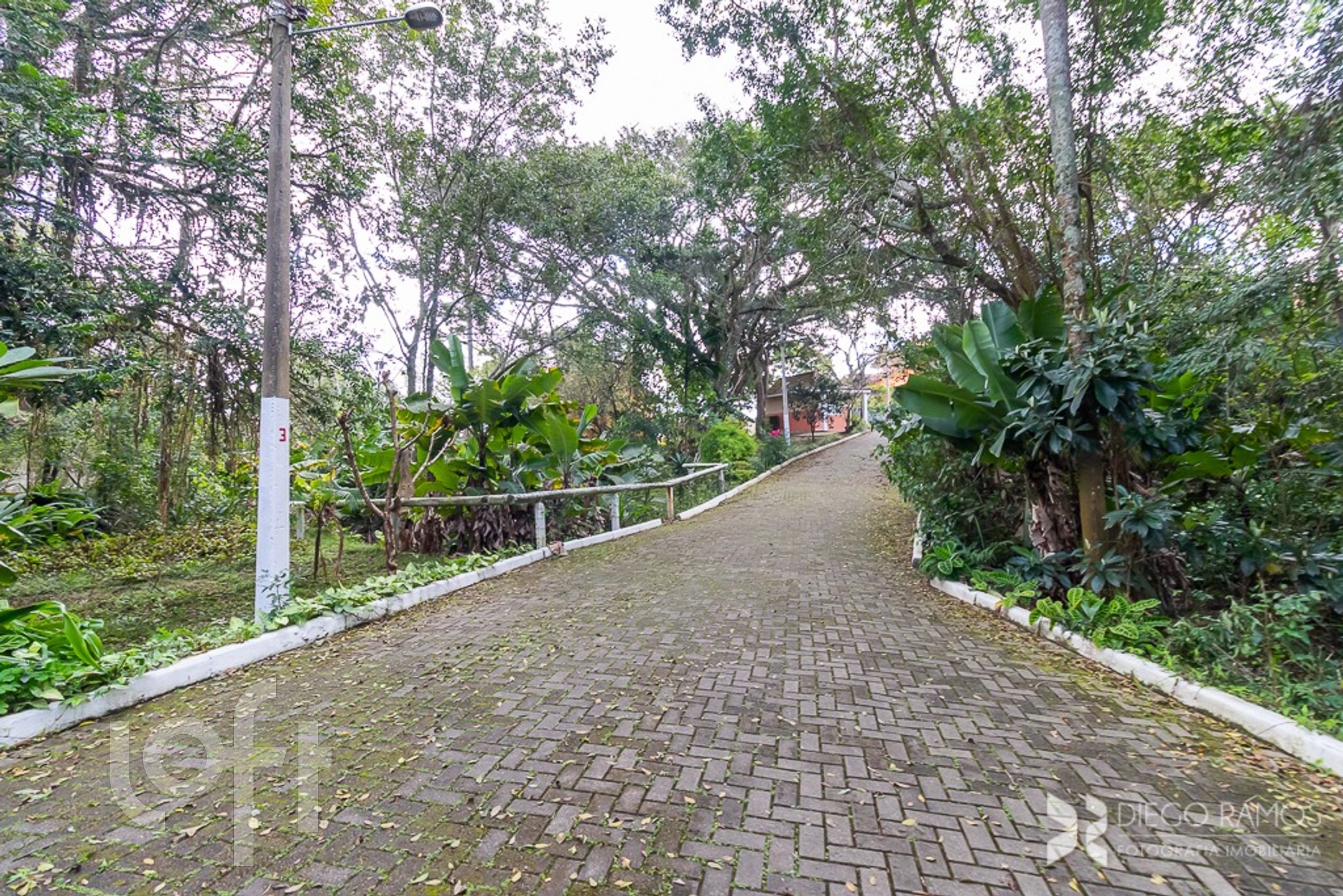 Imagem da propriedade 10