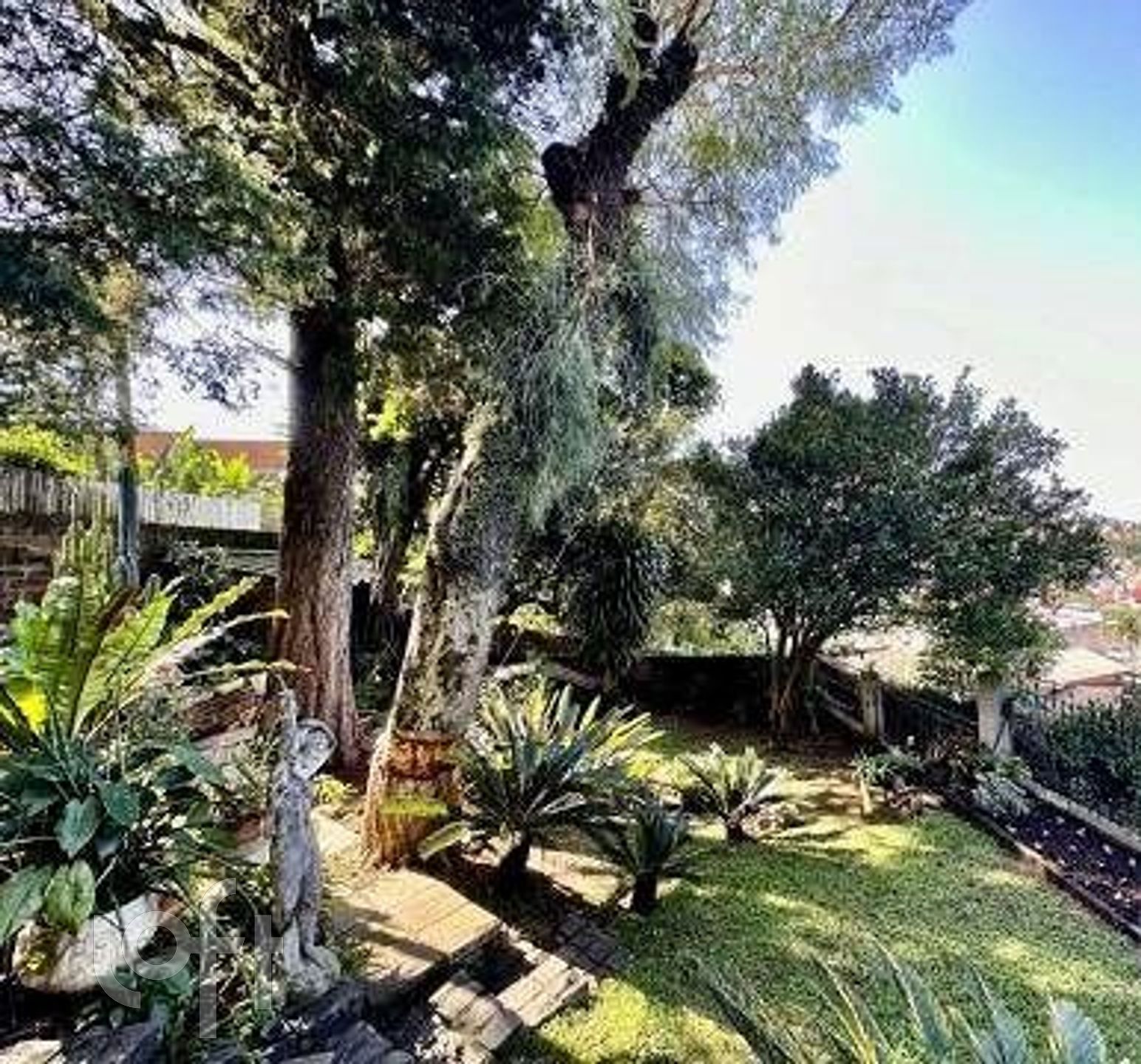 Imagem da propriedade 25