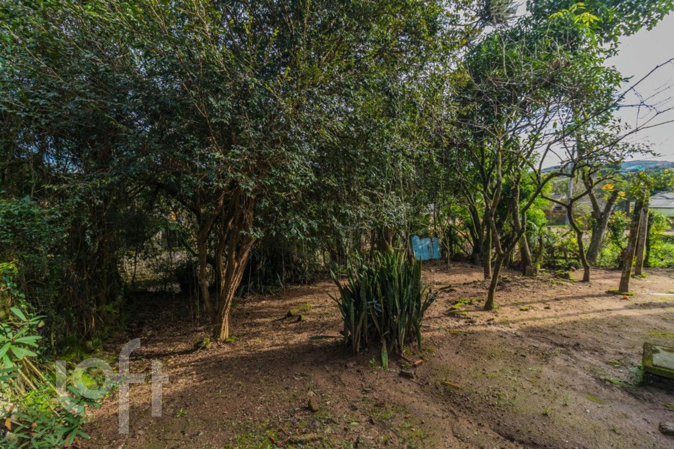 Imagem da propriedade 21