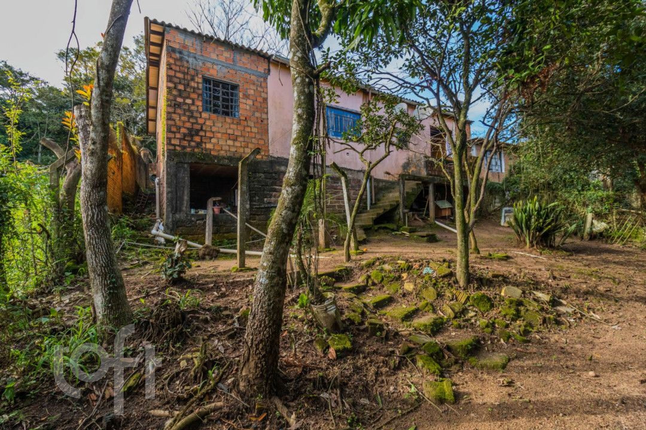 Imagem da propriedade 19