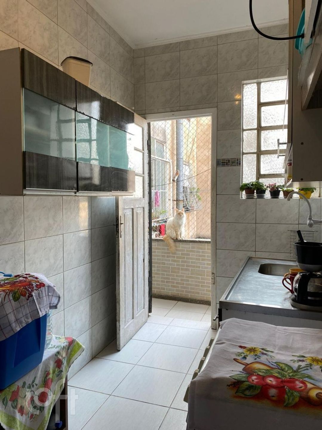 Imagem da propriedade 9