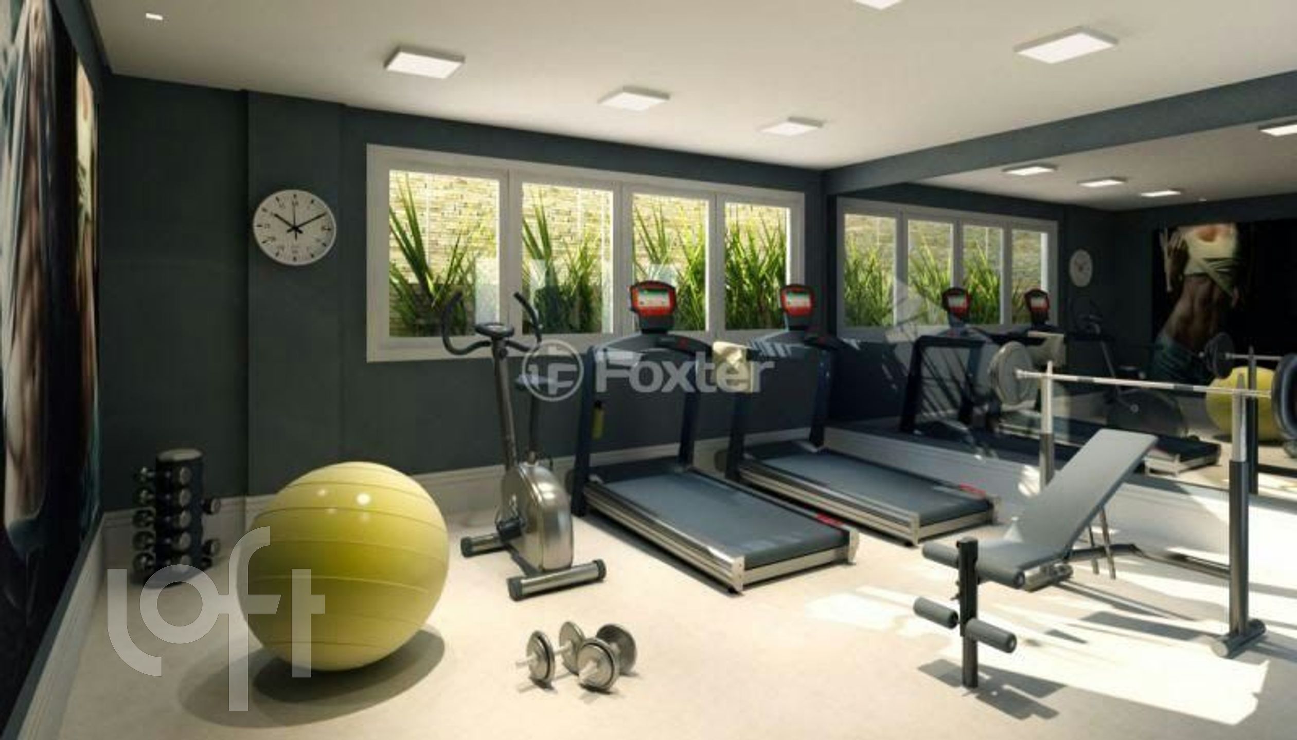 Imagem da propriedade 24