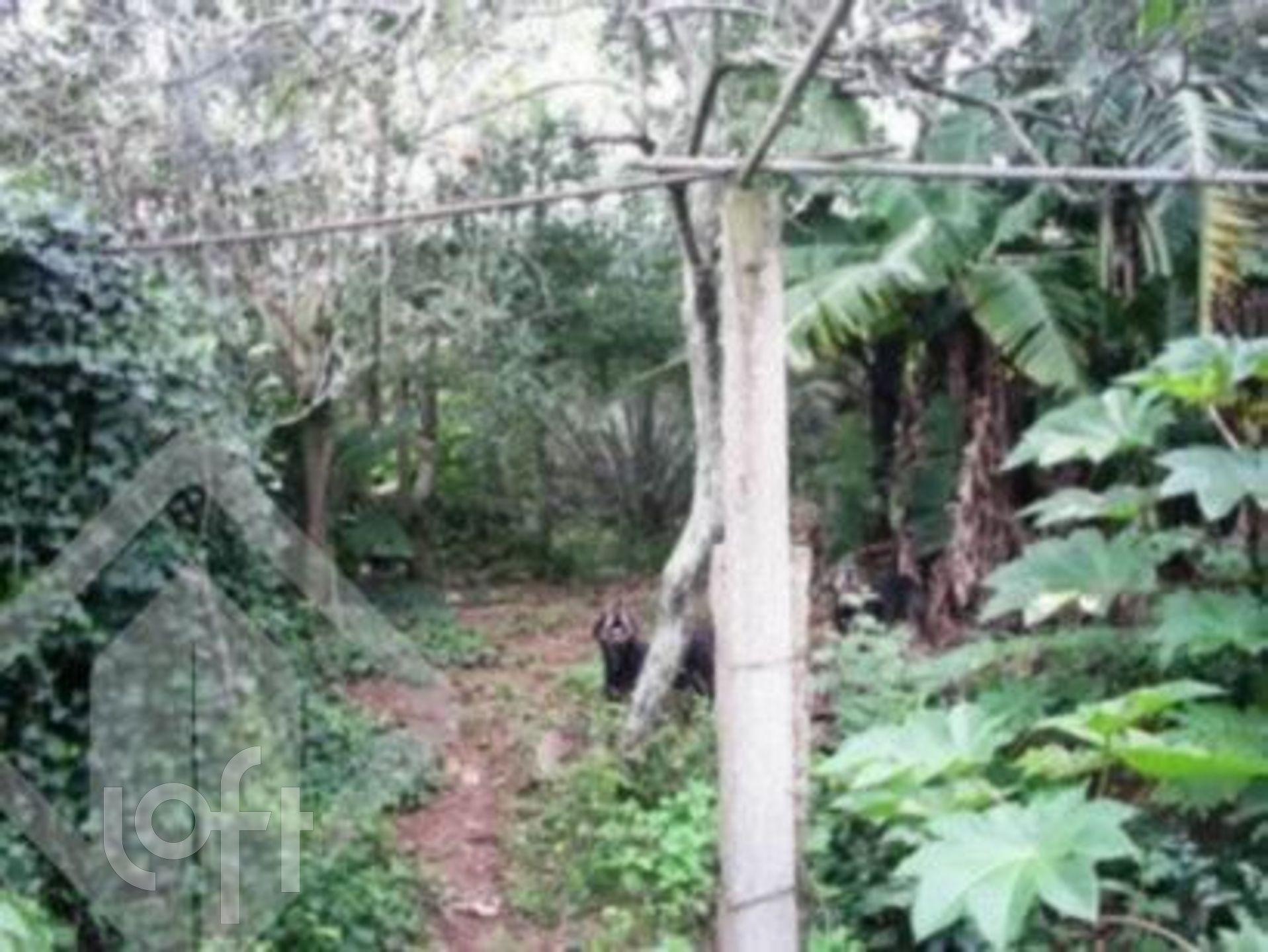 Imagem da propriedade 29