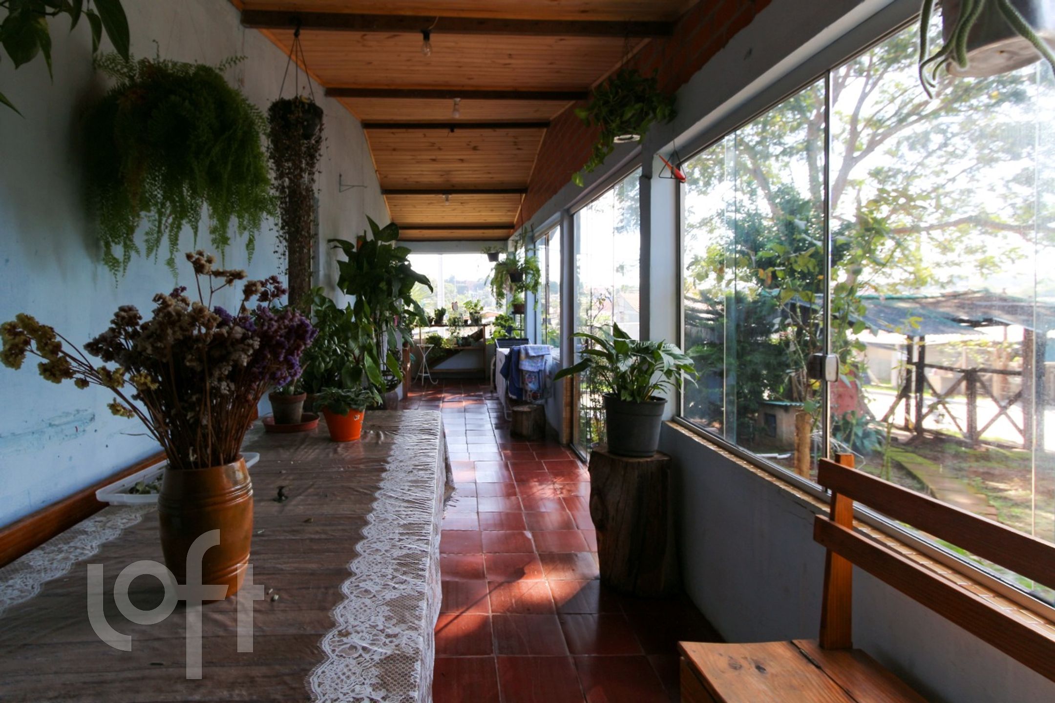 Imagem da propriedade 15