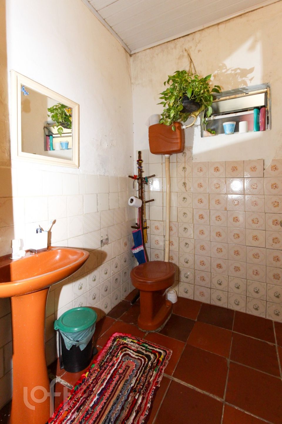 Imagem da propriedade 11