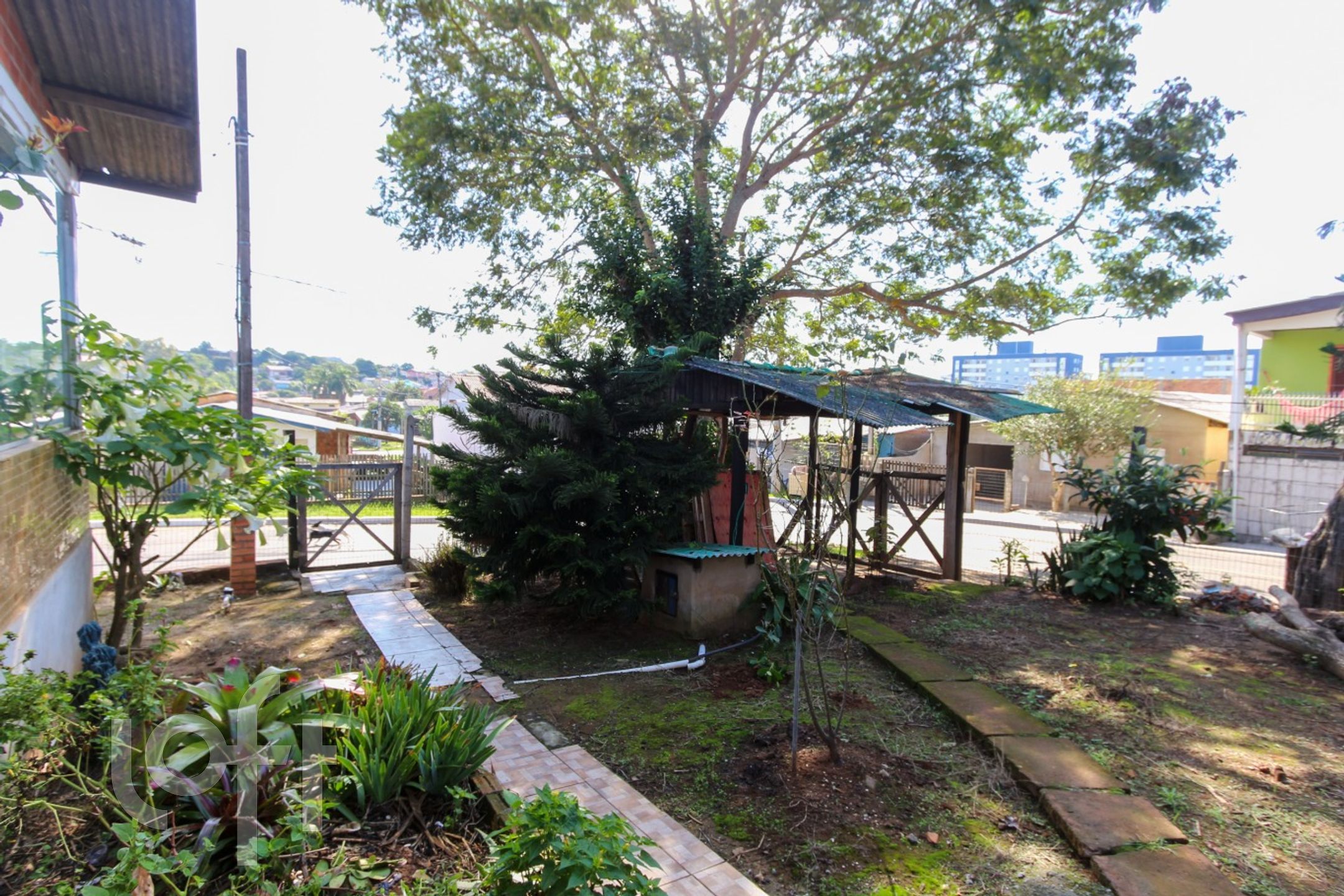 Imagem da propriedade 19