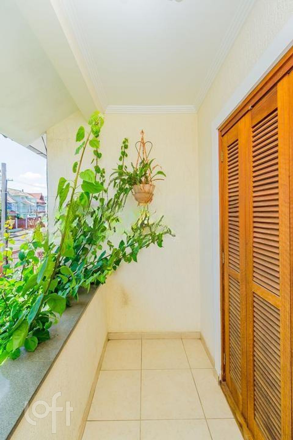 Imagem da propriedade 61