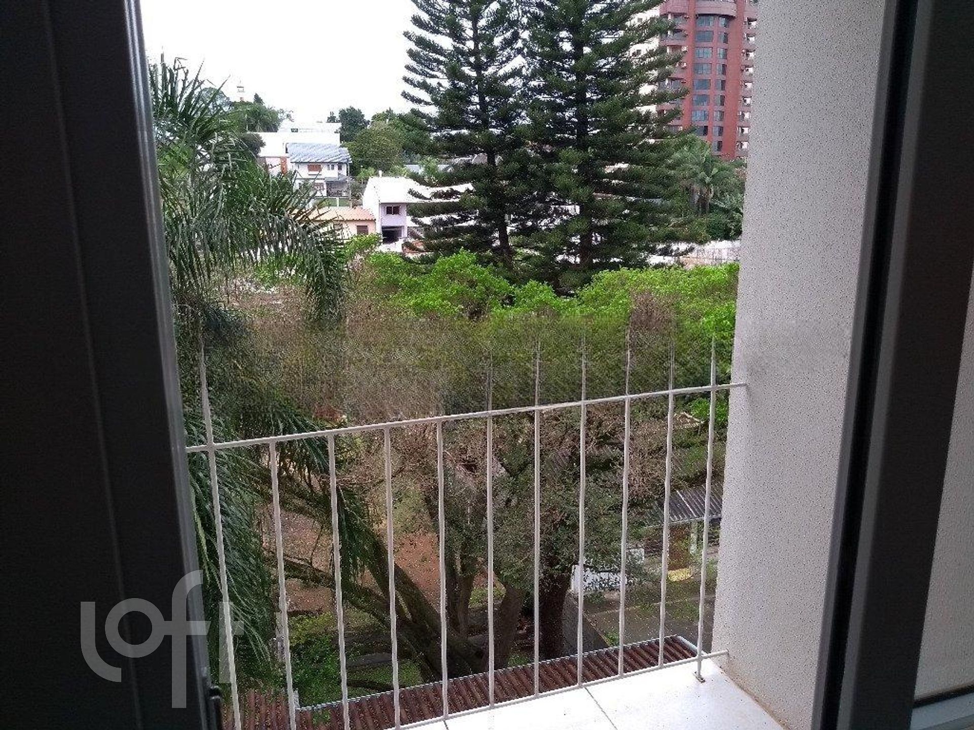 Imagem da propriedade 4