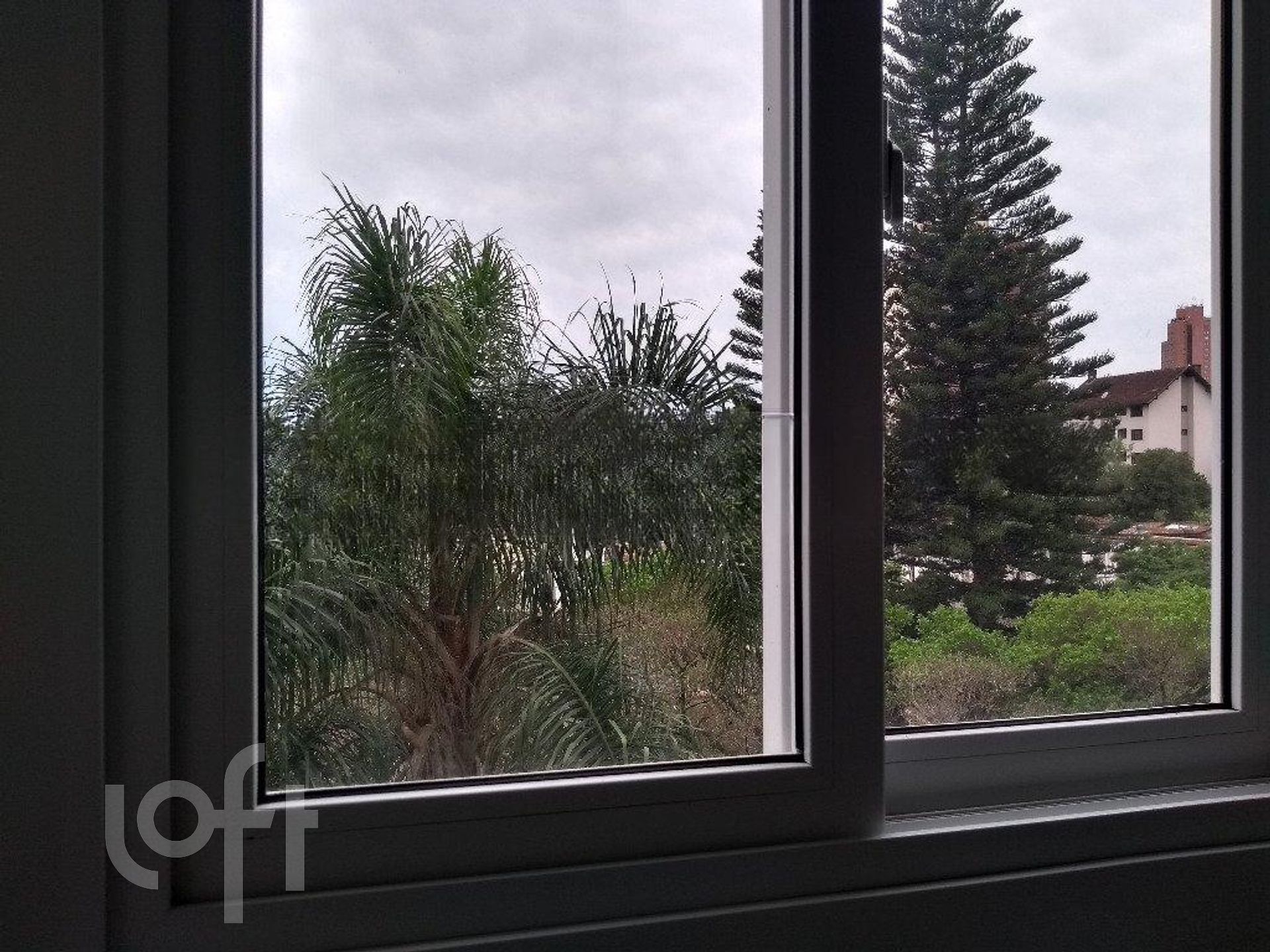 Imagem da propriedade 13