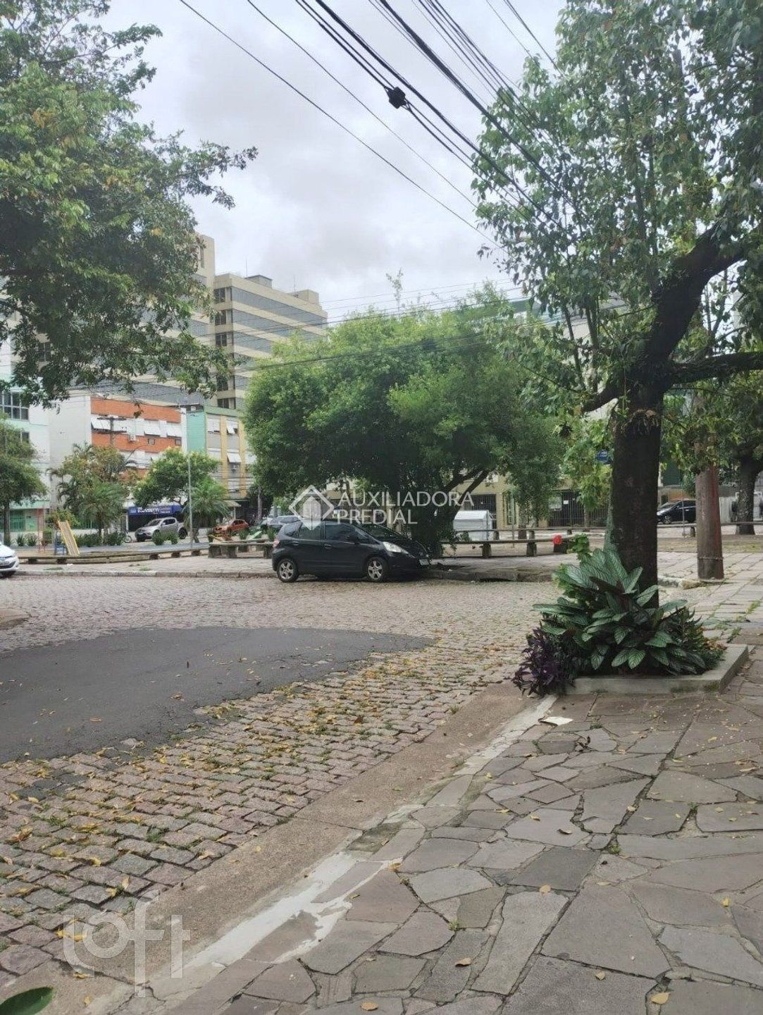 Imagem da propriedade 4