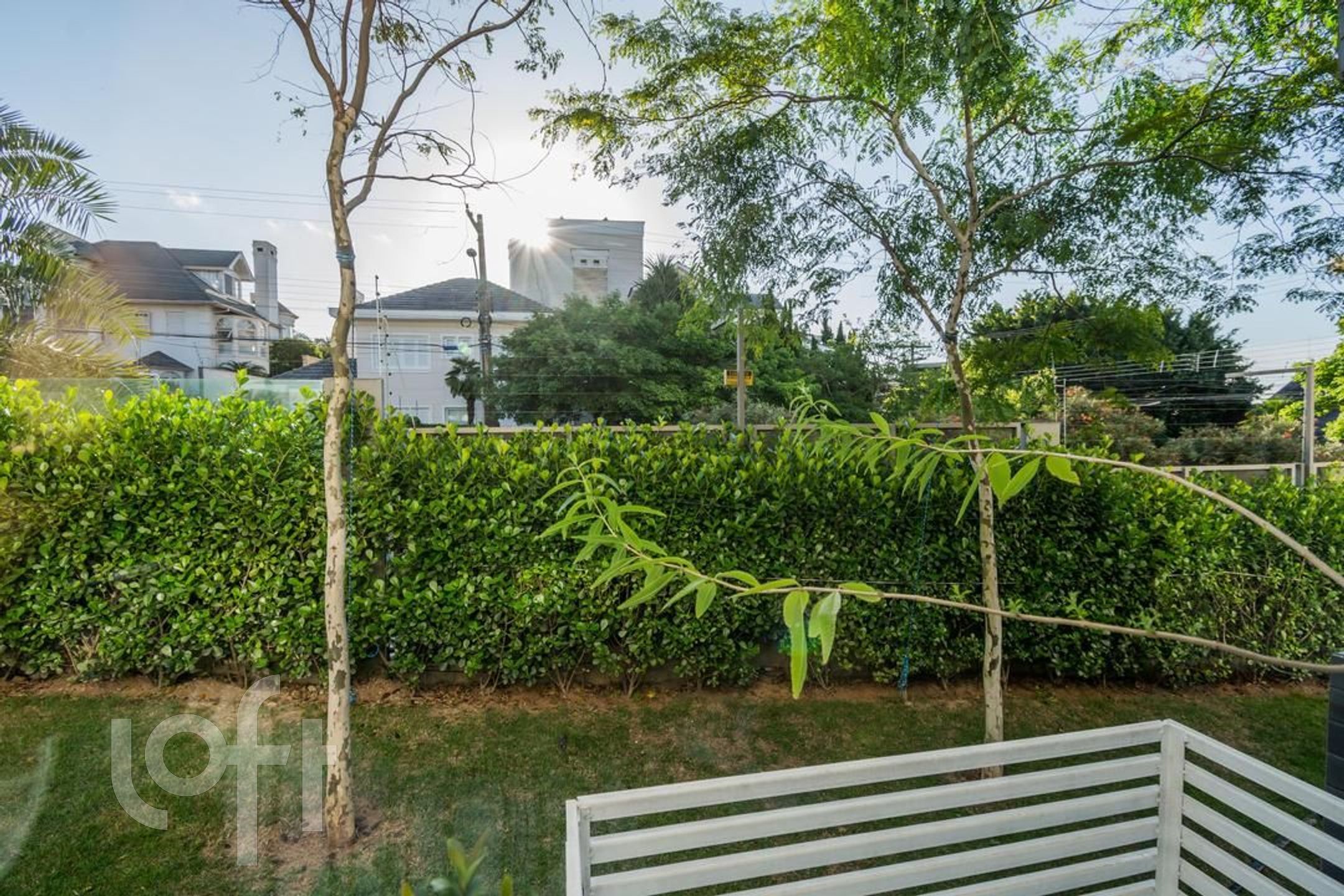 Imagem da propriedade 21