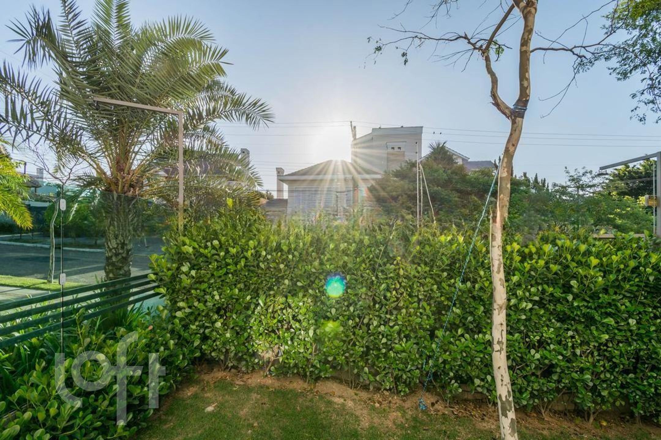 Imagem da propriedade 8