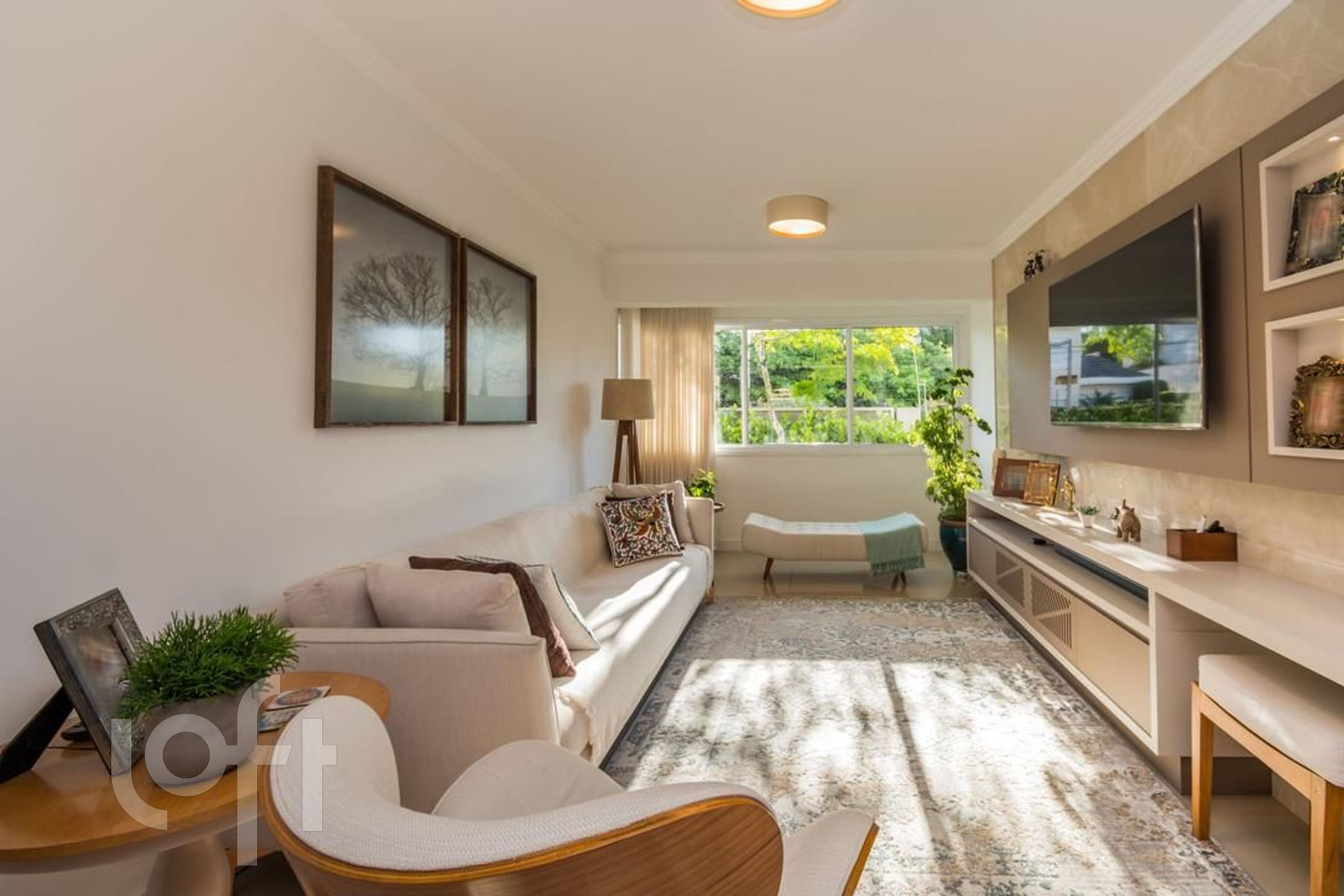 Imagem da propriedade 7