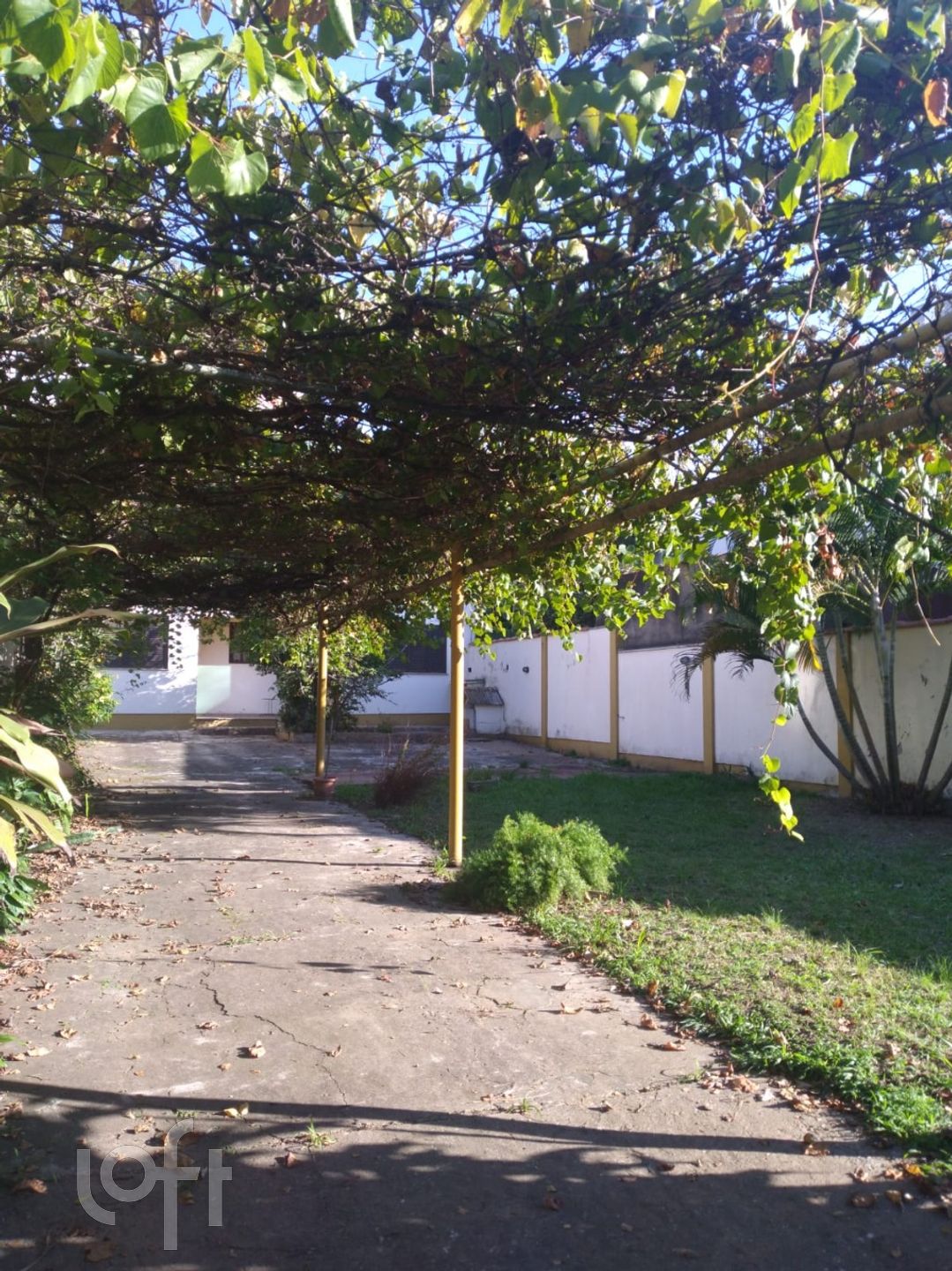 Imagem da propriedade 46