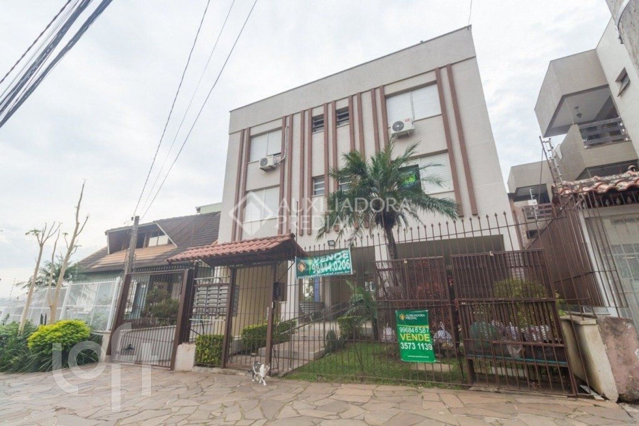 Imagem da propriedade 13