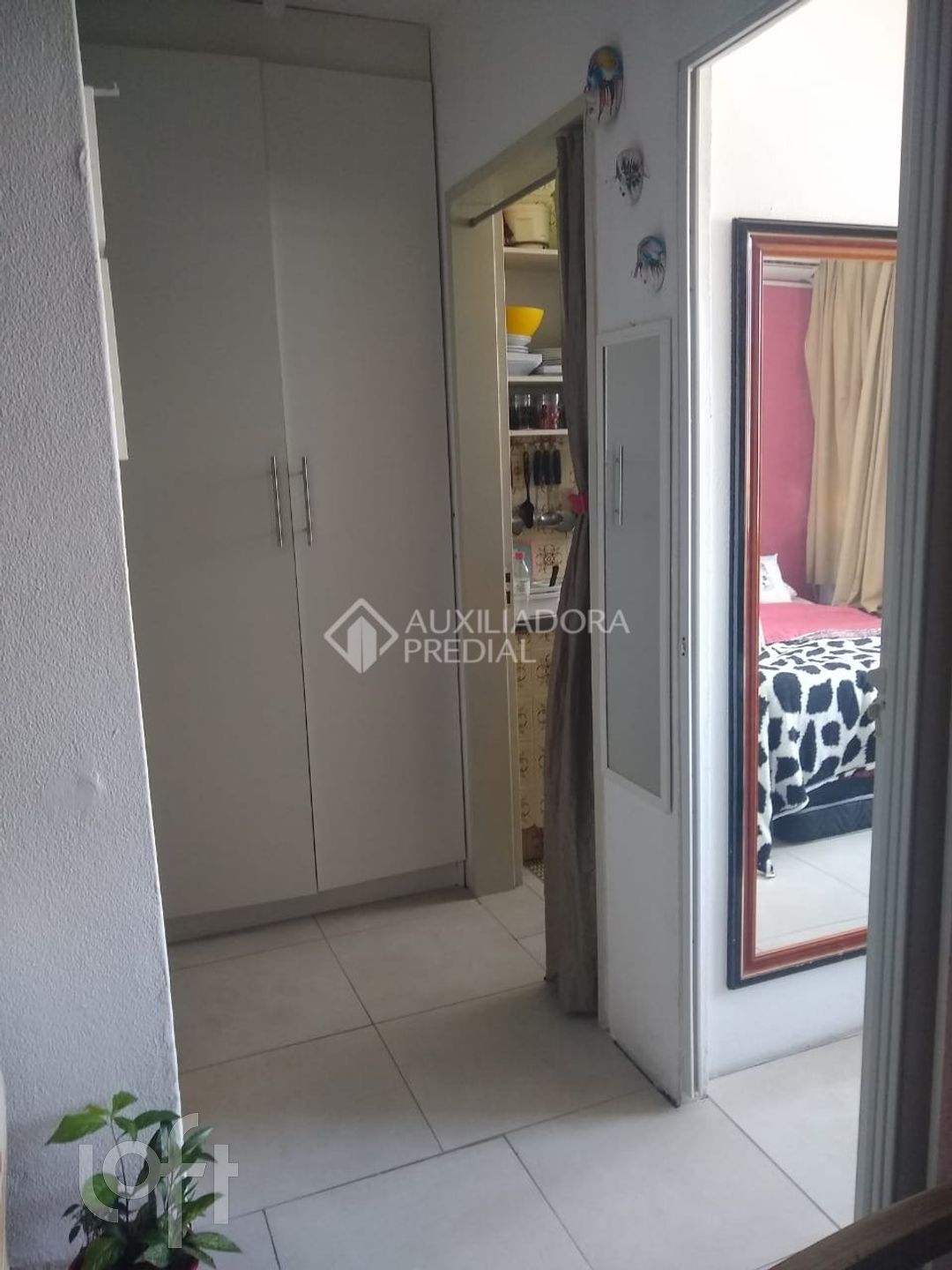 Imagem da propriedade 8