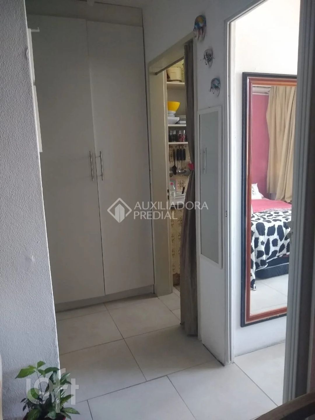 Imagem da propriedade 12