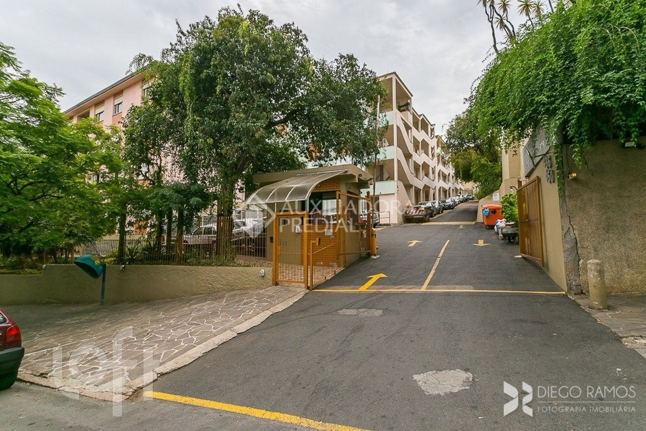 Imagem da propriedade 3