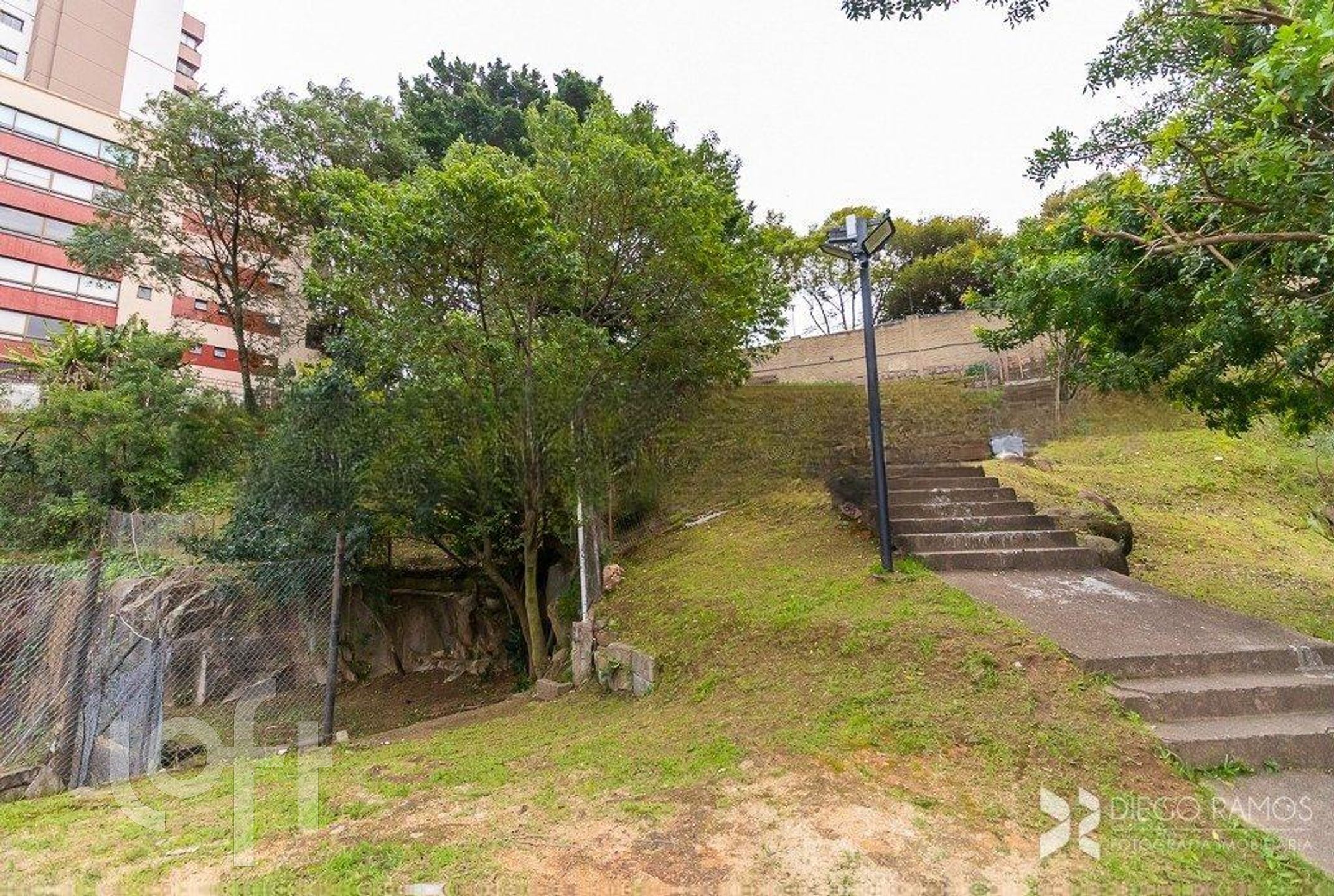 Imagem da propriedade 26