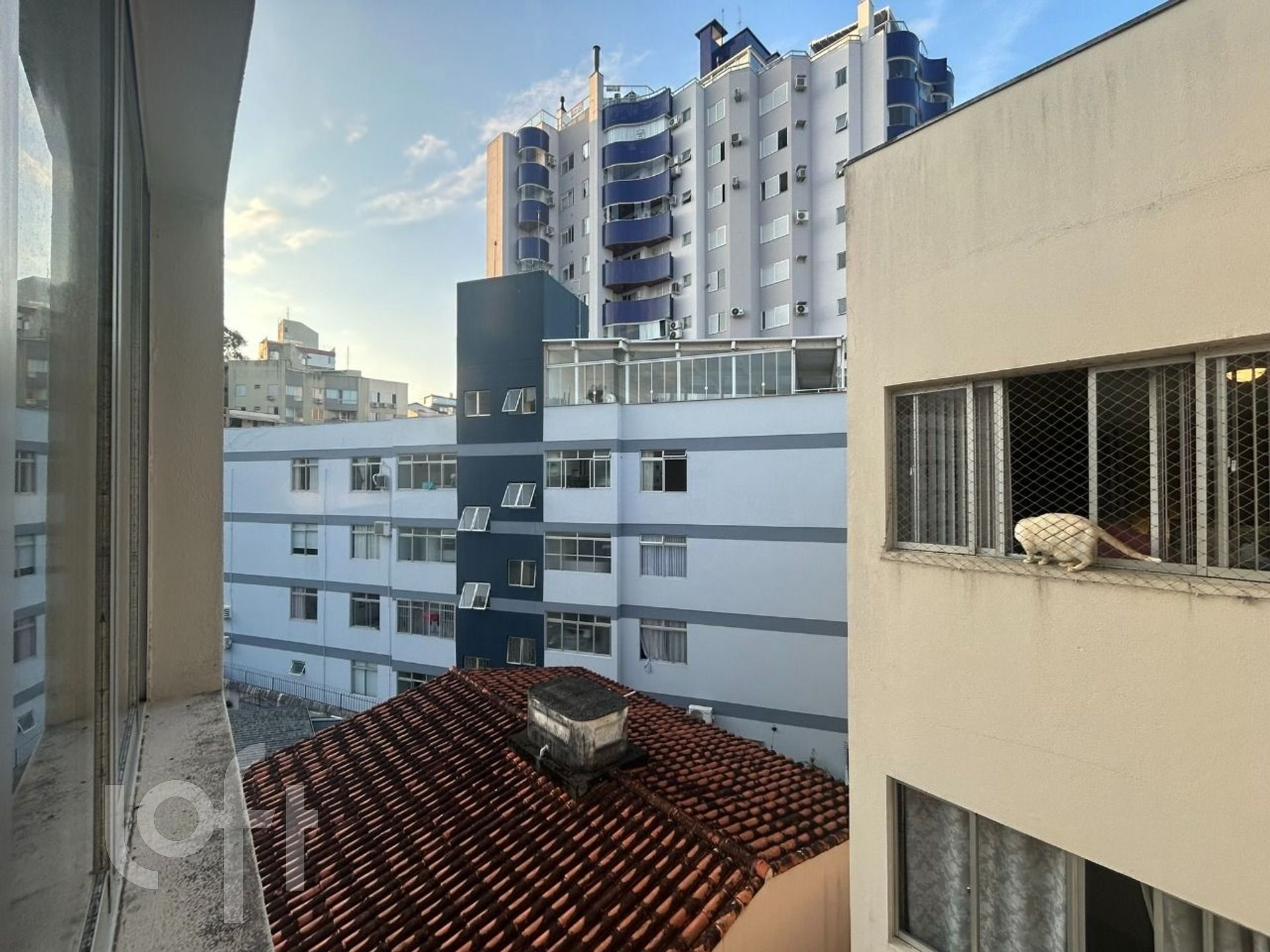 Imagem da propriedade 14
