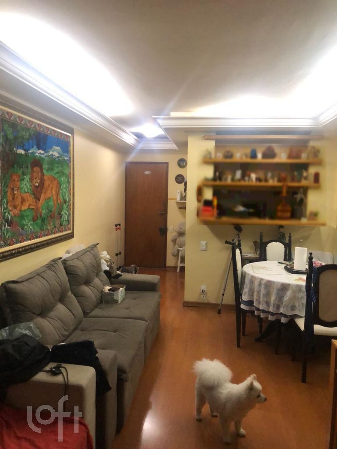 Apartamento à venda com 3 quartos, 74m² - Foto 4