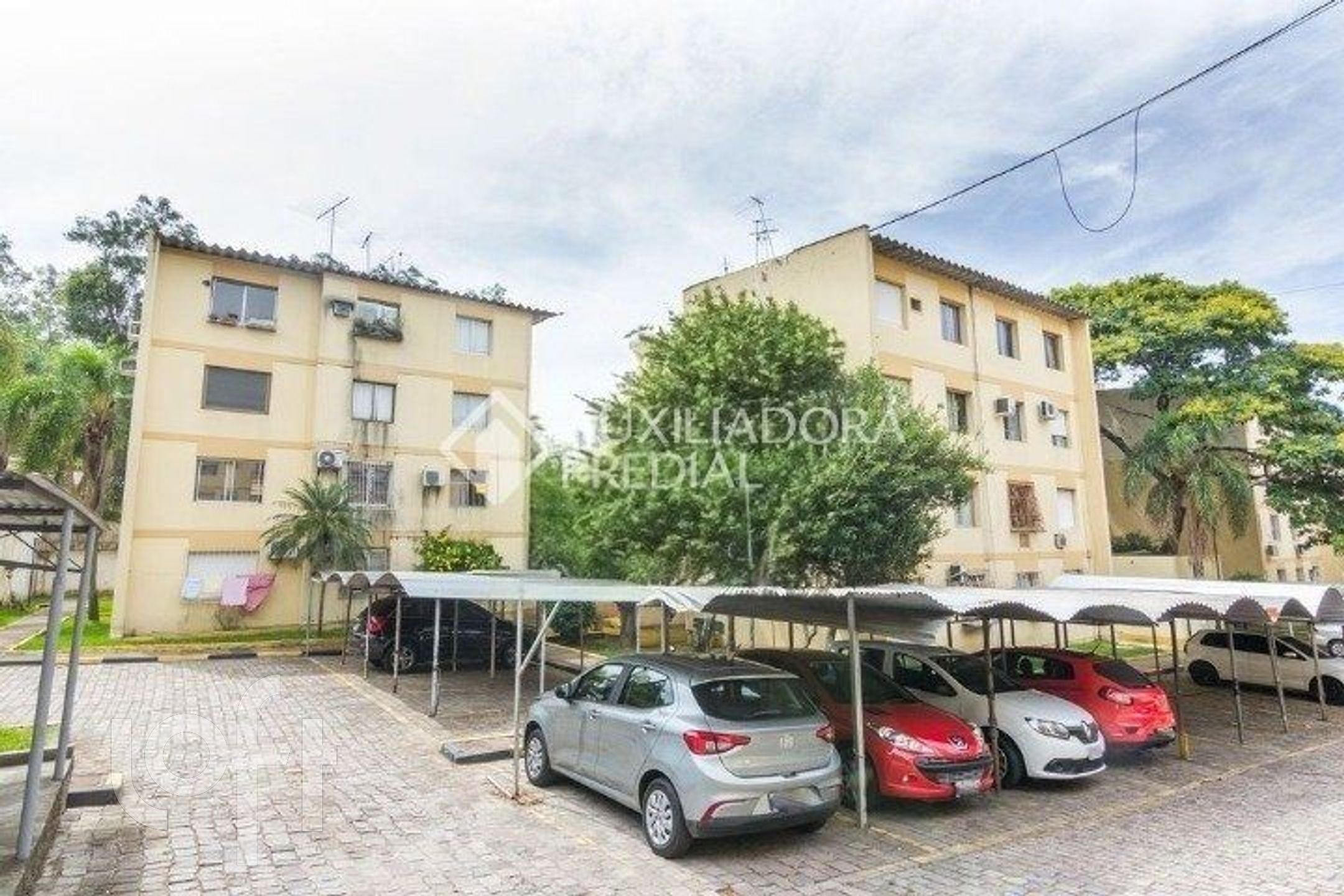 Imagem da propriedade 12