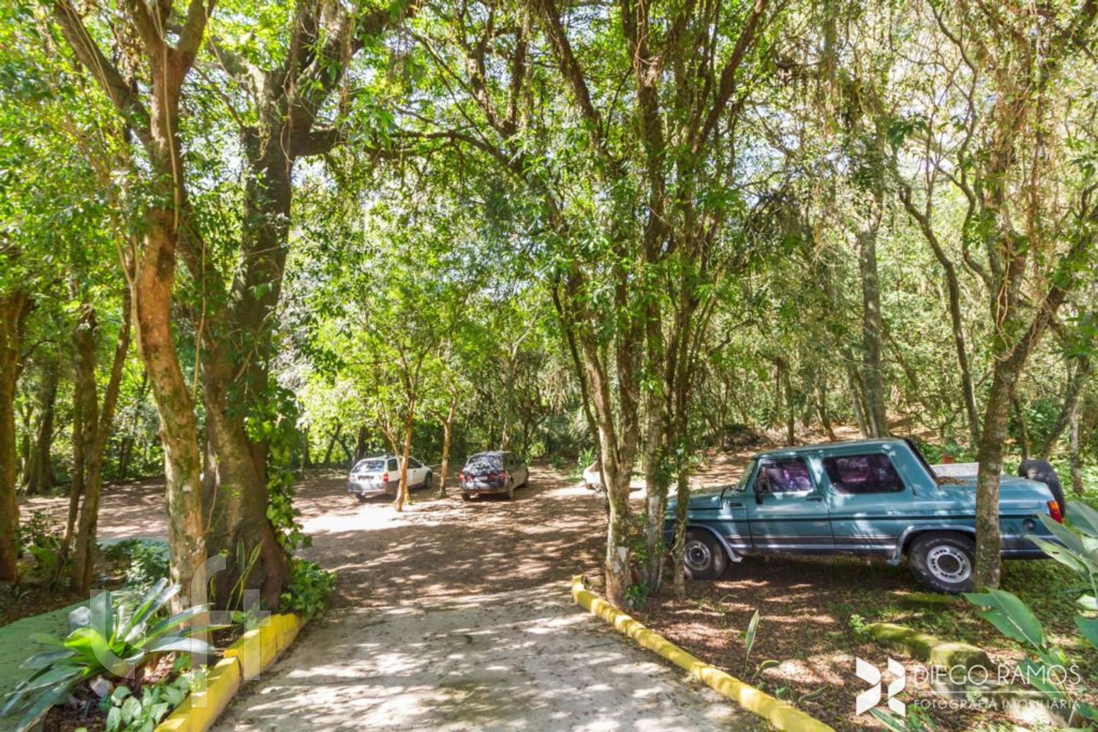 Imagem da propriedade 55